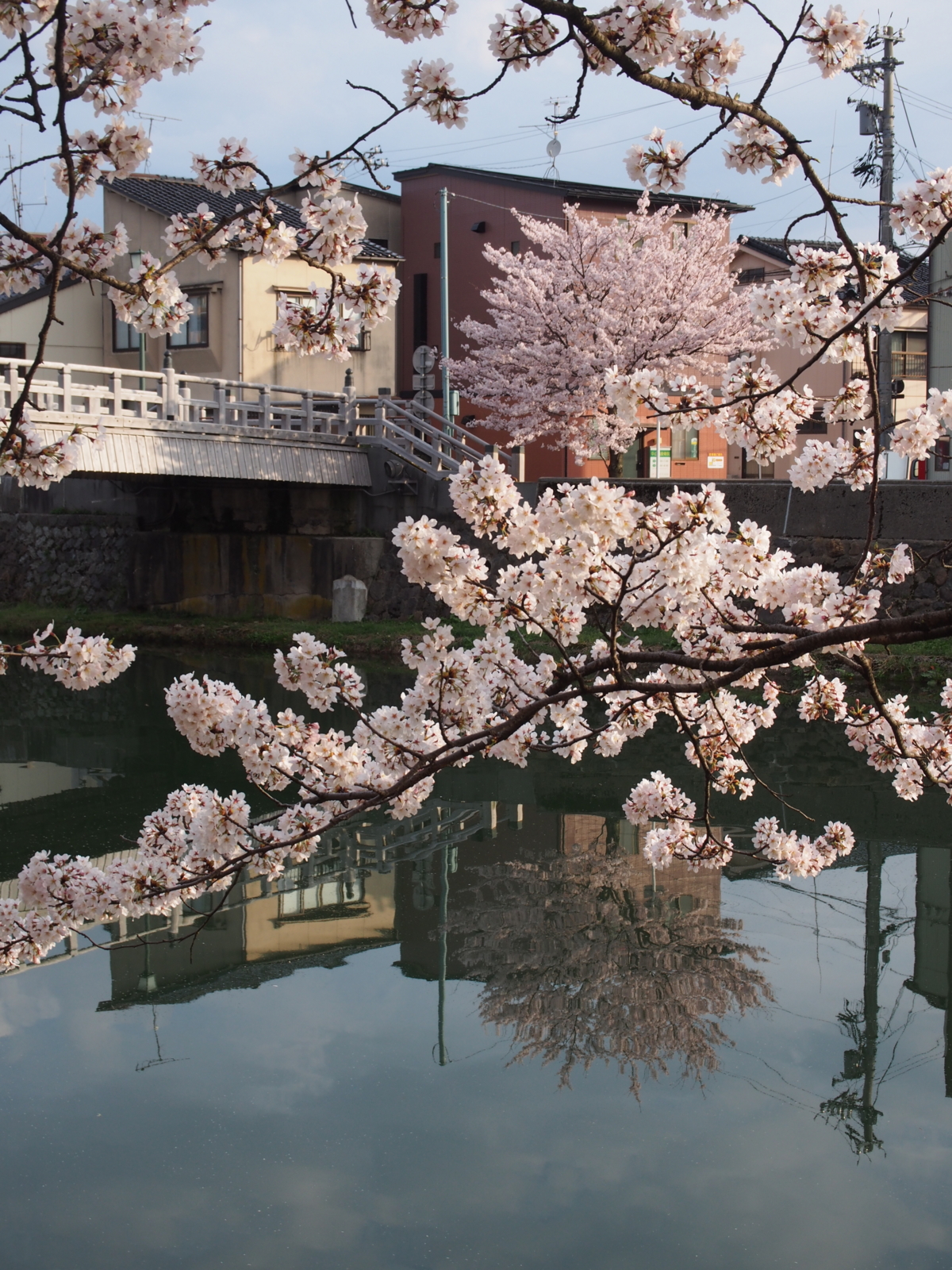 浅野川 金沢おもしろ発掘