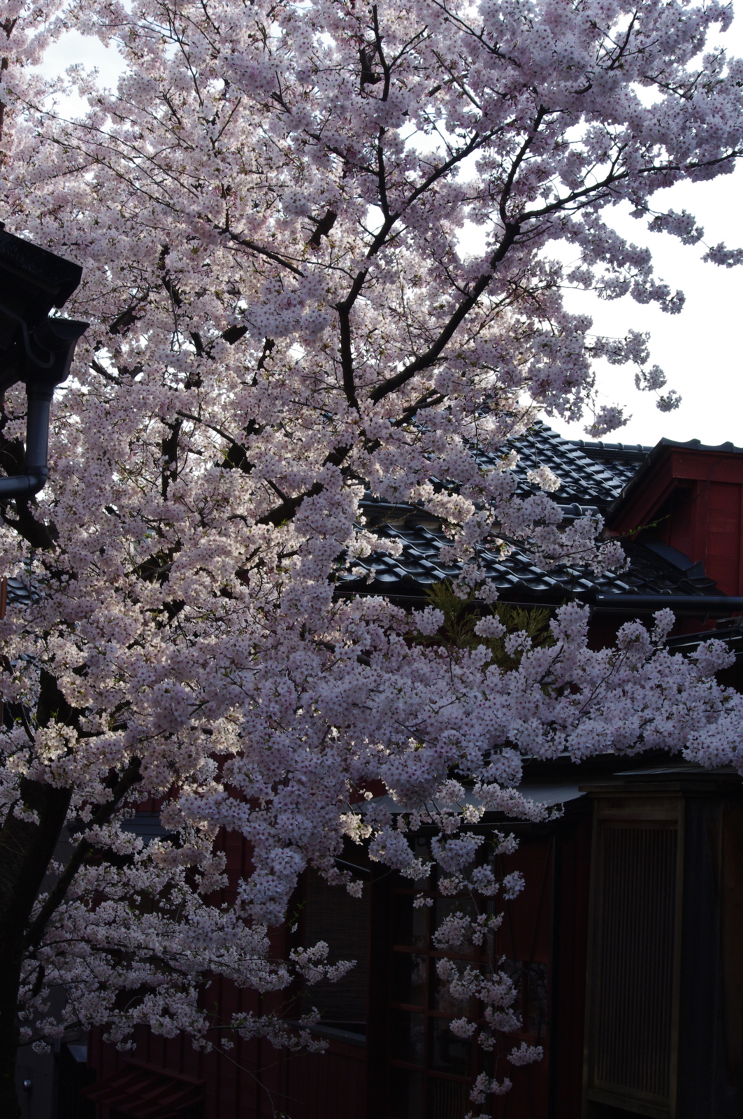 f:id:k10no3:20160403072423j:image:w318 f:id:k10no3:20160403072423j:image:w318