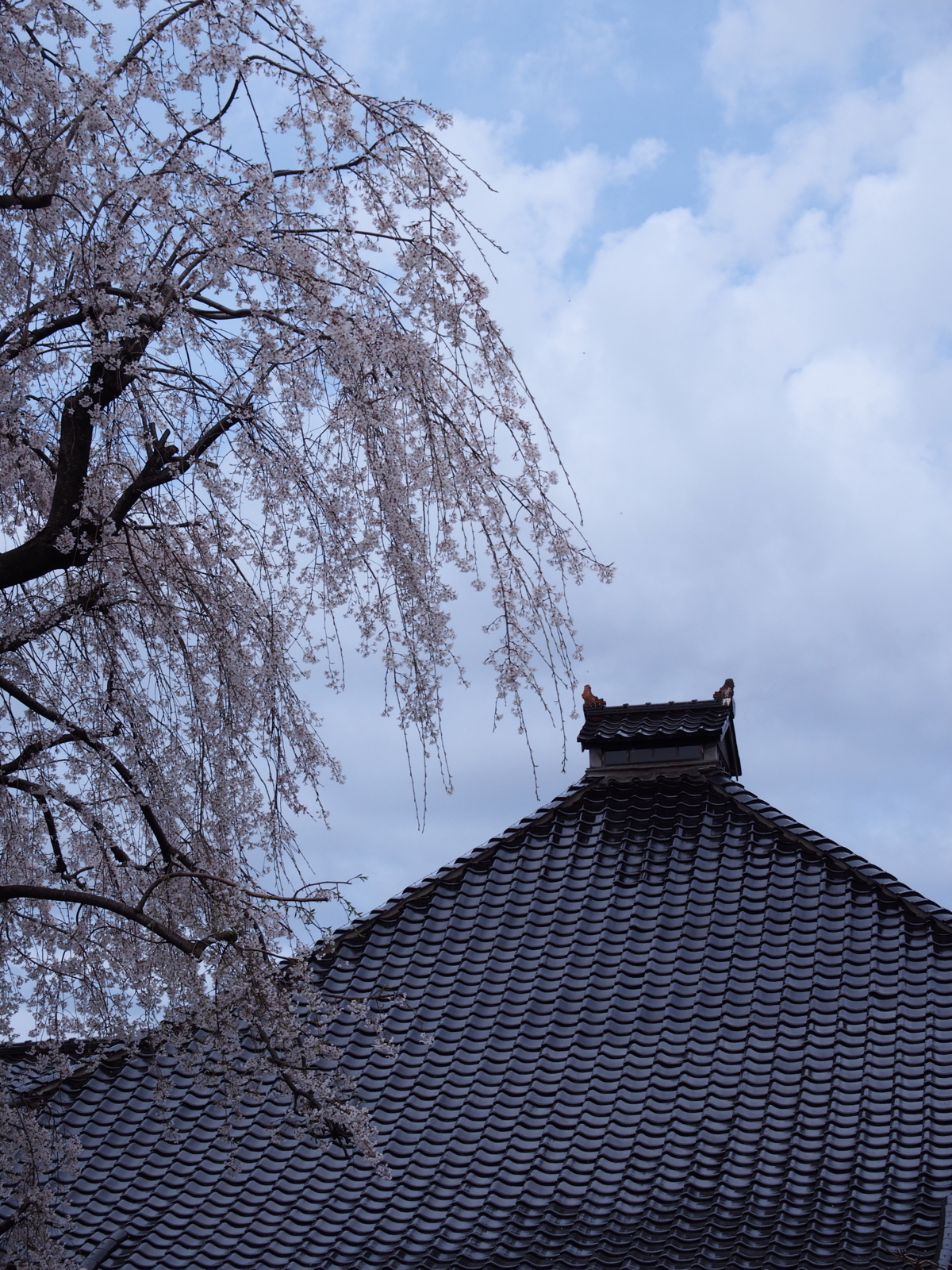 f:id:k10no3:20160403091648j:image:w640 f:id:k10no3:20160403091648j:image:w640
