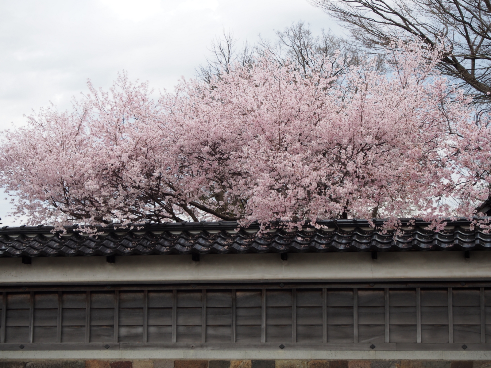 f:id:k10no3:20160403093239j:image:w640 f:id:k10no3:20160403093239j:image:w640