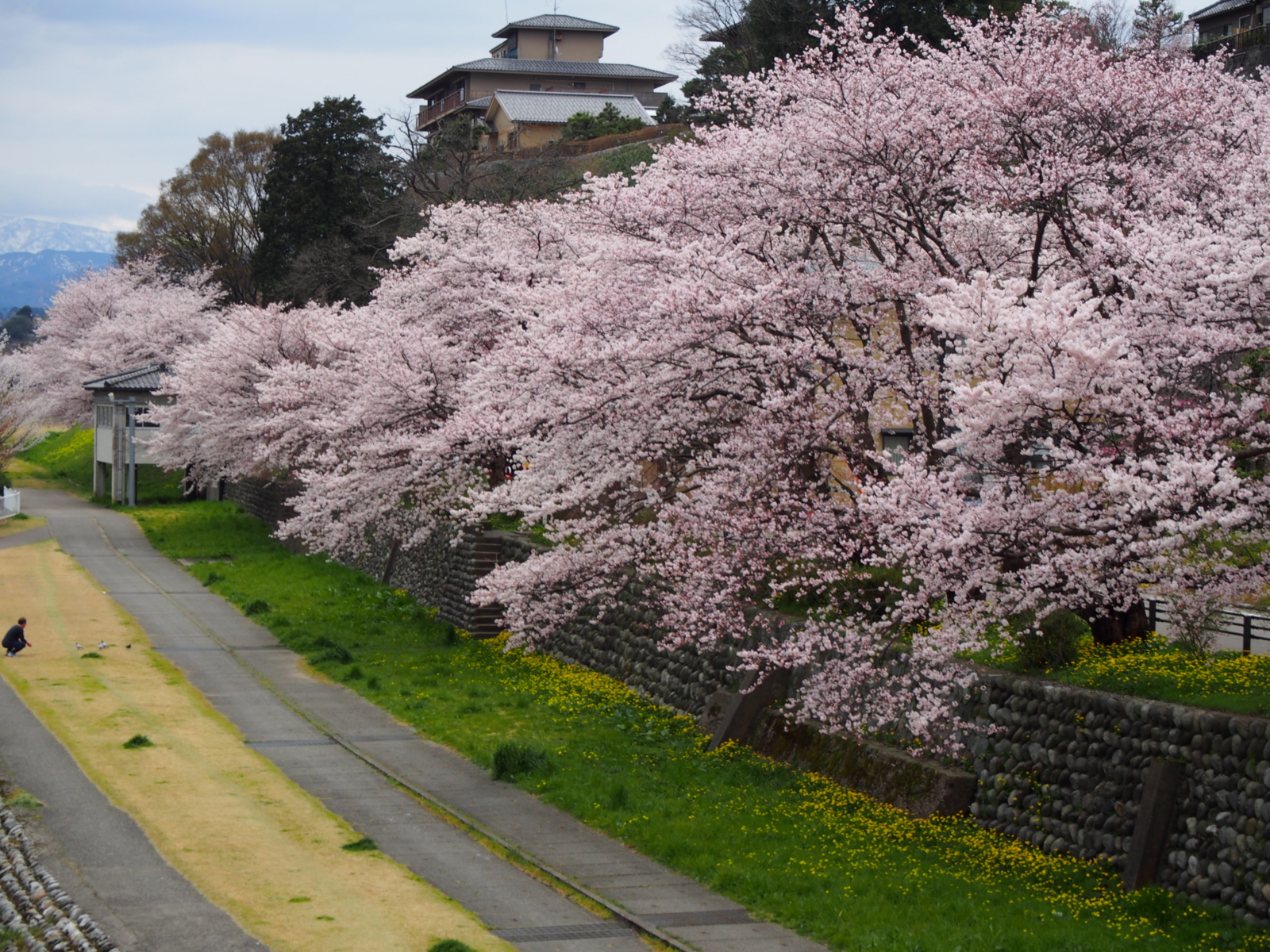 f:id:k10no3:20160403095126j:image:w640