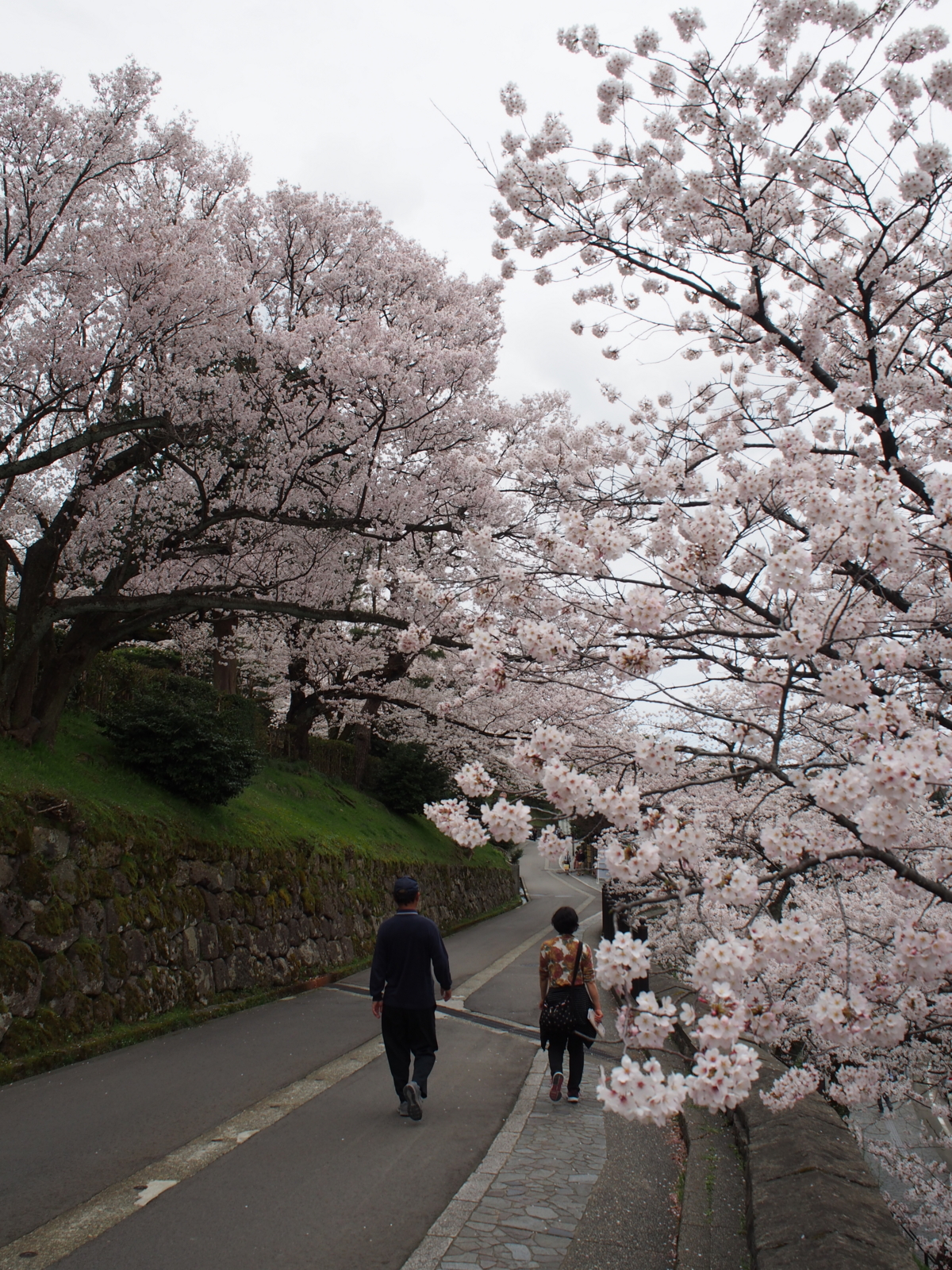 f:id:k10no3:20160403105651j:image:w318 f:id:k10no3:20160403105651j:image:w318