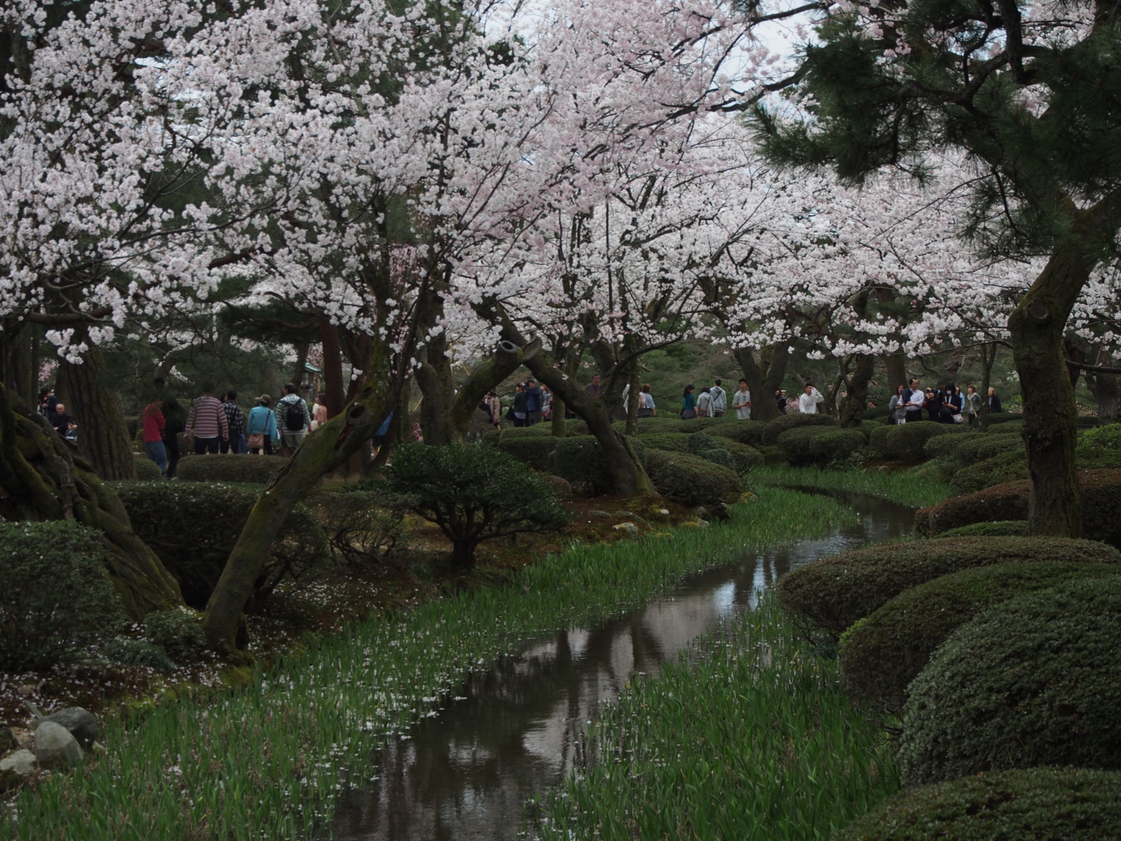 f:id:k10no3:20160403105957j:image:w640 f:id:k10no3:20160403105957j:image:w640