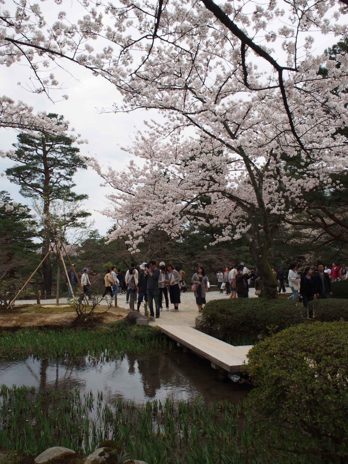 f:id:k10no3:20160403110559j:image:w318 f:id:k10no3:20160403110559j:image:w318