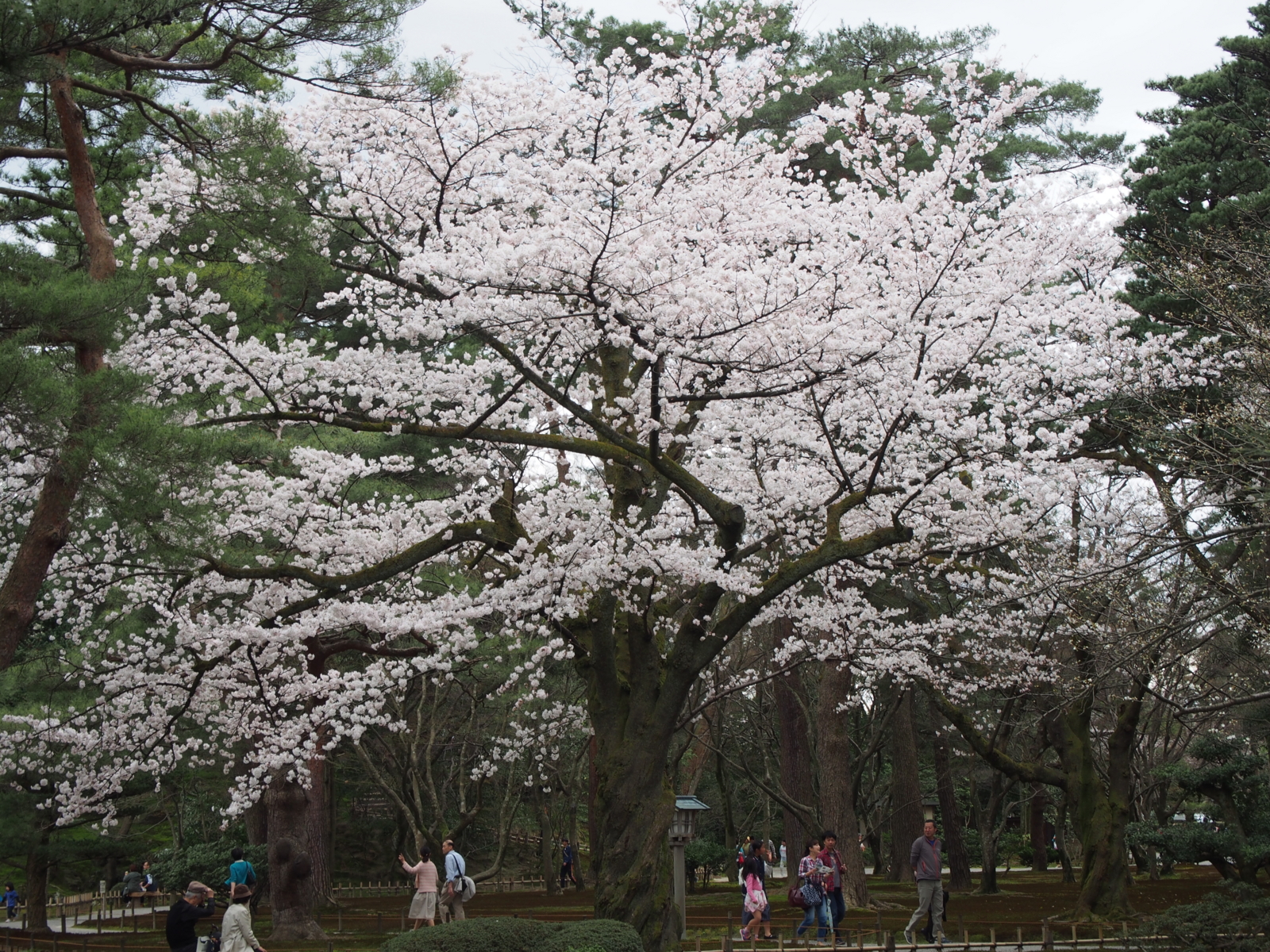 f:id:k10no3:20160403110841j:image:w640 f:id:k10no3:20160403110841j:image:w640