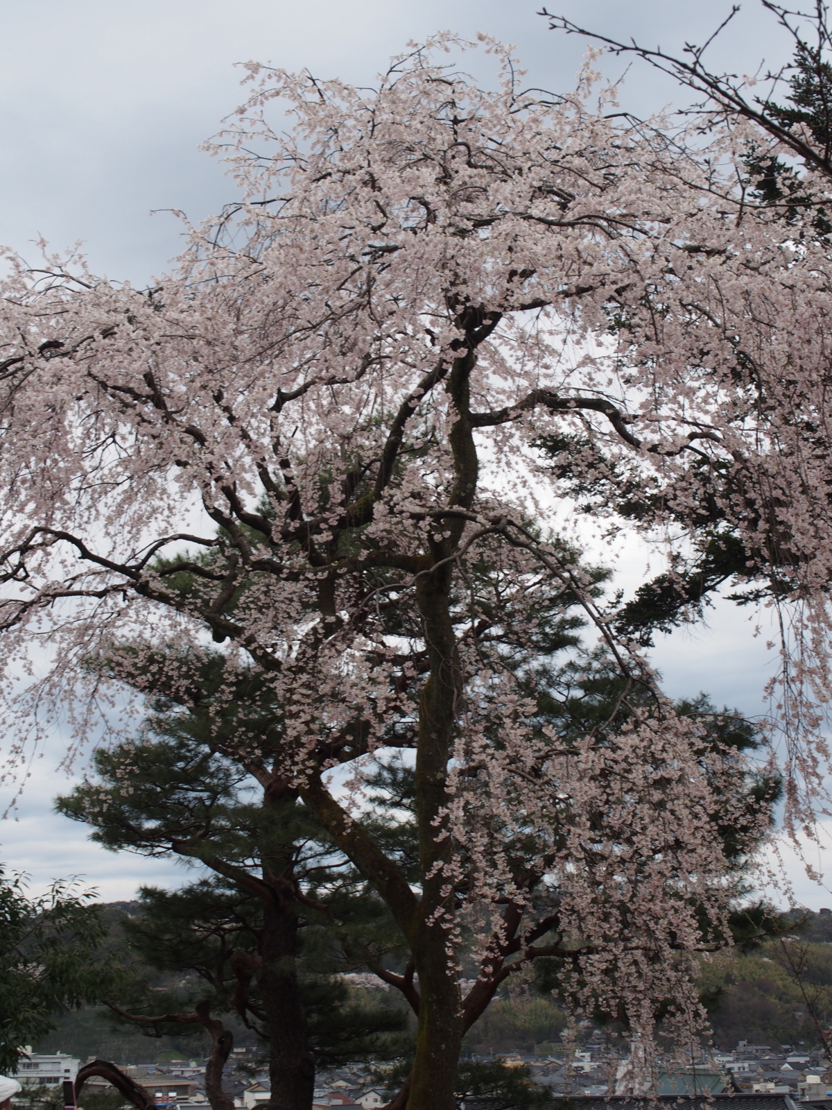 f:id:k10no3:20160403110946j:image:w318 f:id:k10no3:20160403110946j:image:w318