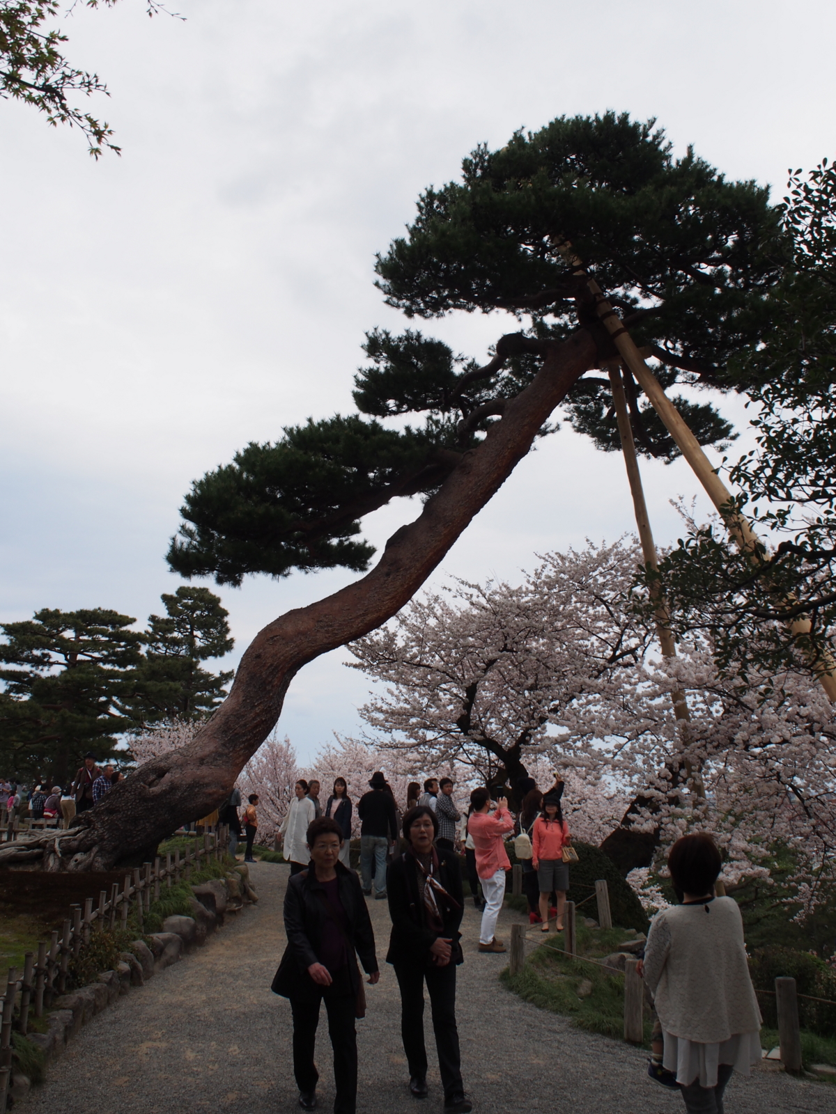 f:id:k10no3:20160403111122j:image:w318 f:id:k10no3:20160403111122j:image:w318