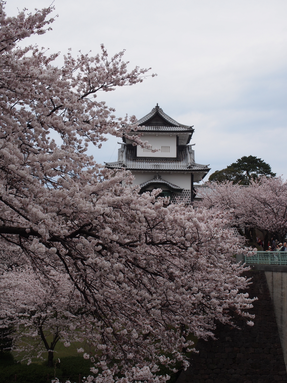 f:id:k10no3:20160403111821j:image:w318