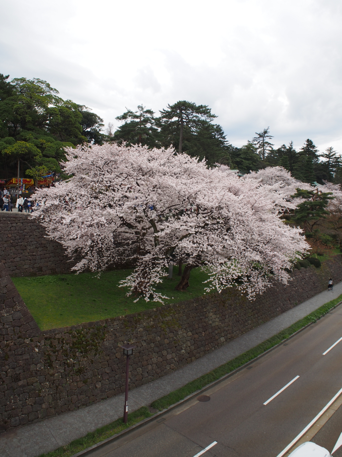 f:id:k10no3:20160403112234j:image:w318