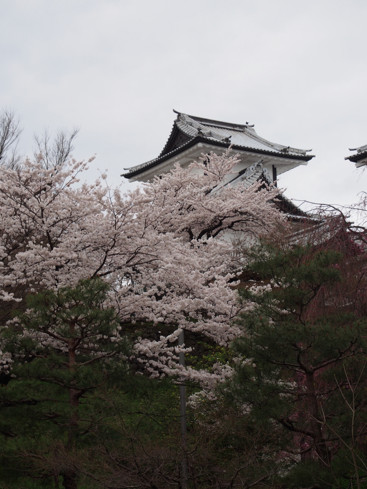 f:id:k10no3:20160403113107j:image:w318