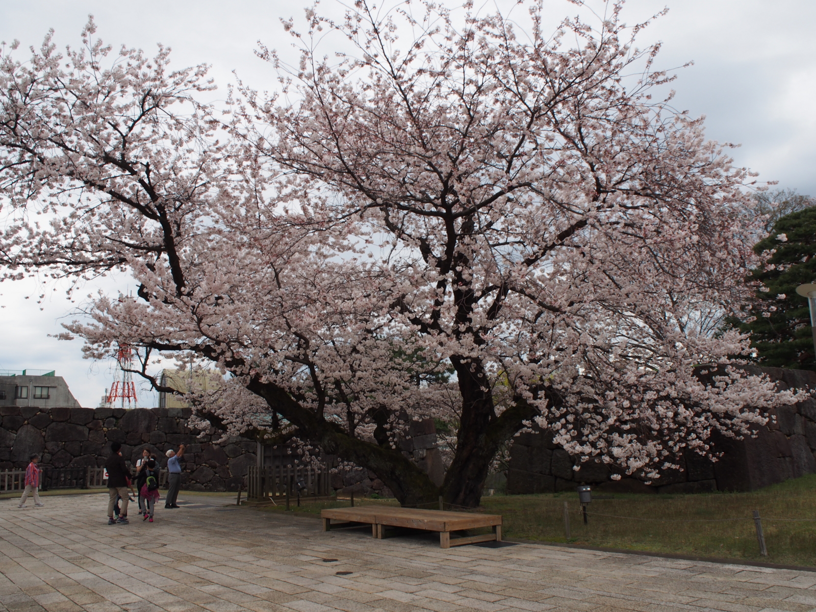 f:id:k10no3:20160403114455j:image:w640