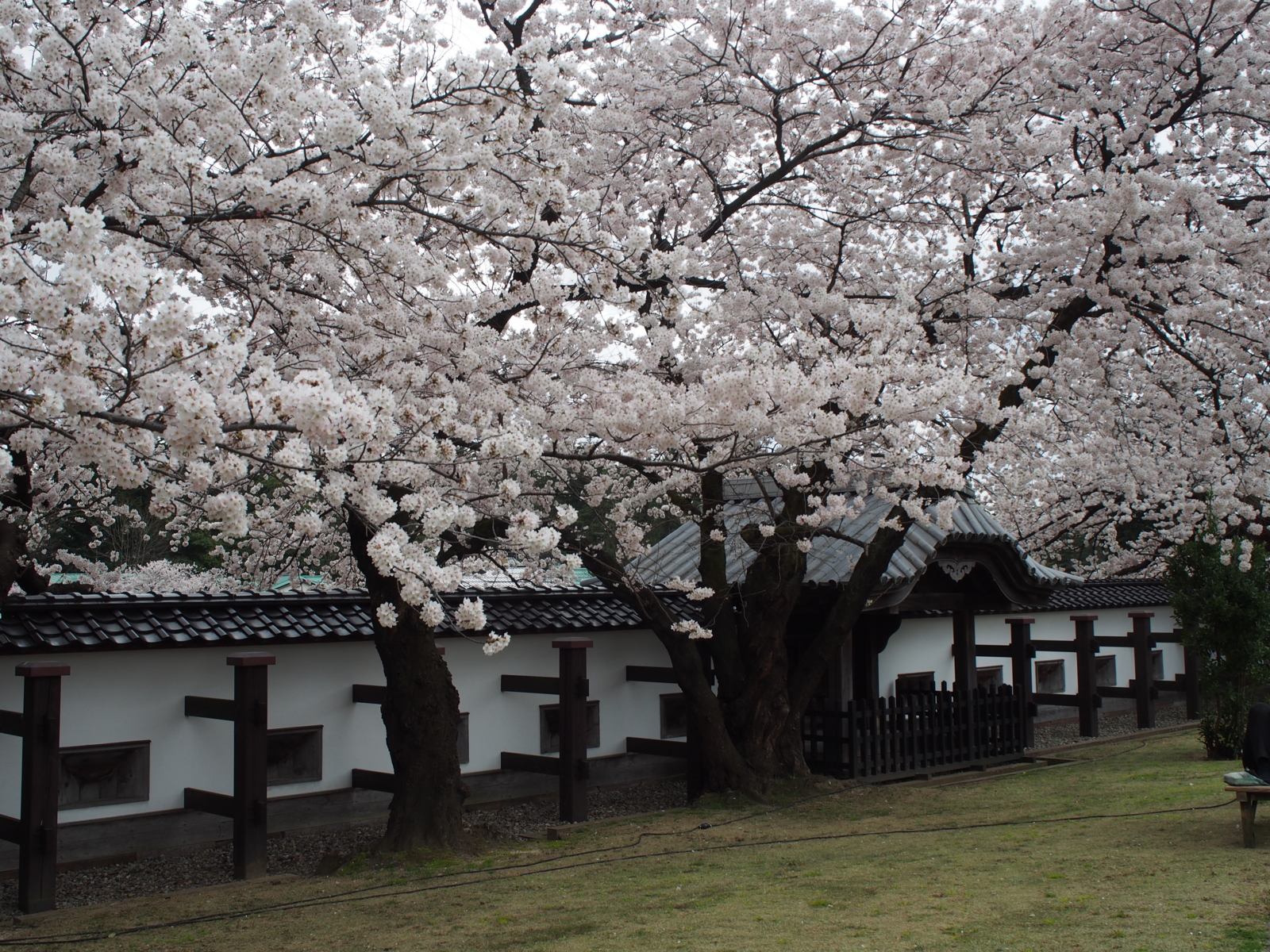 f:id:k10no3:20160403115703j:image:w640