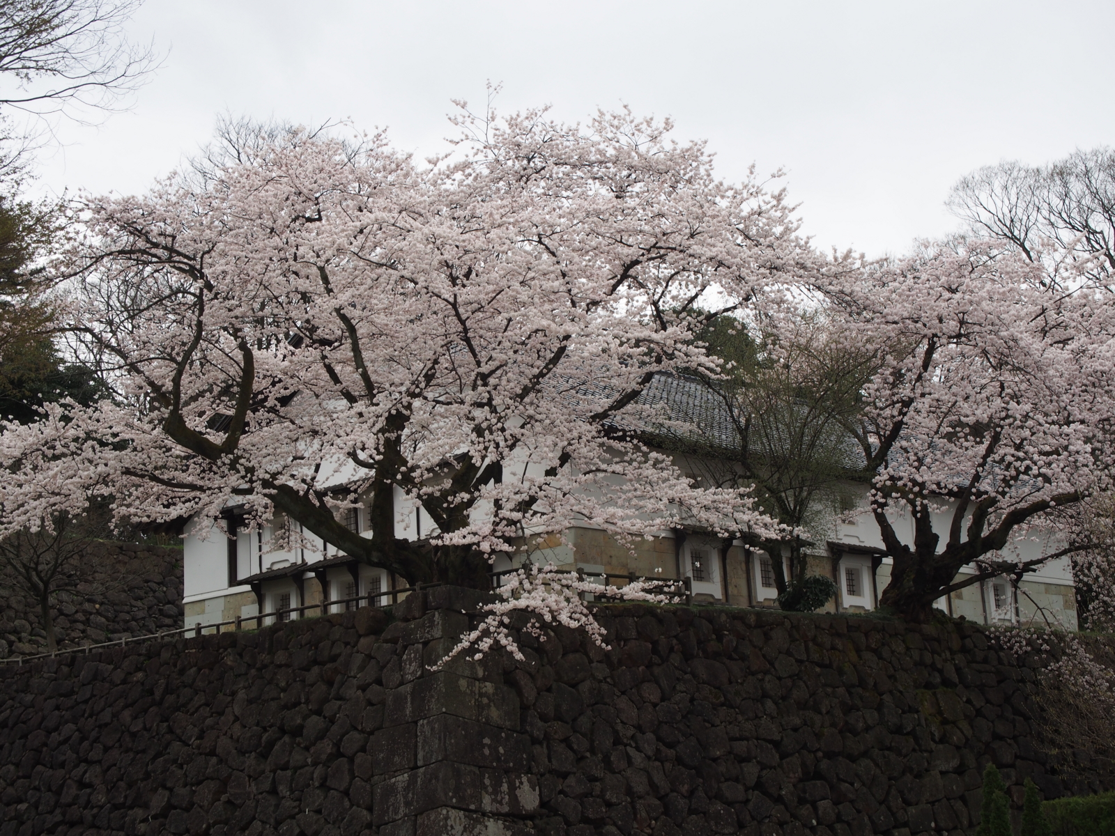 f:id:k10no3:20160403115818j:image:w640