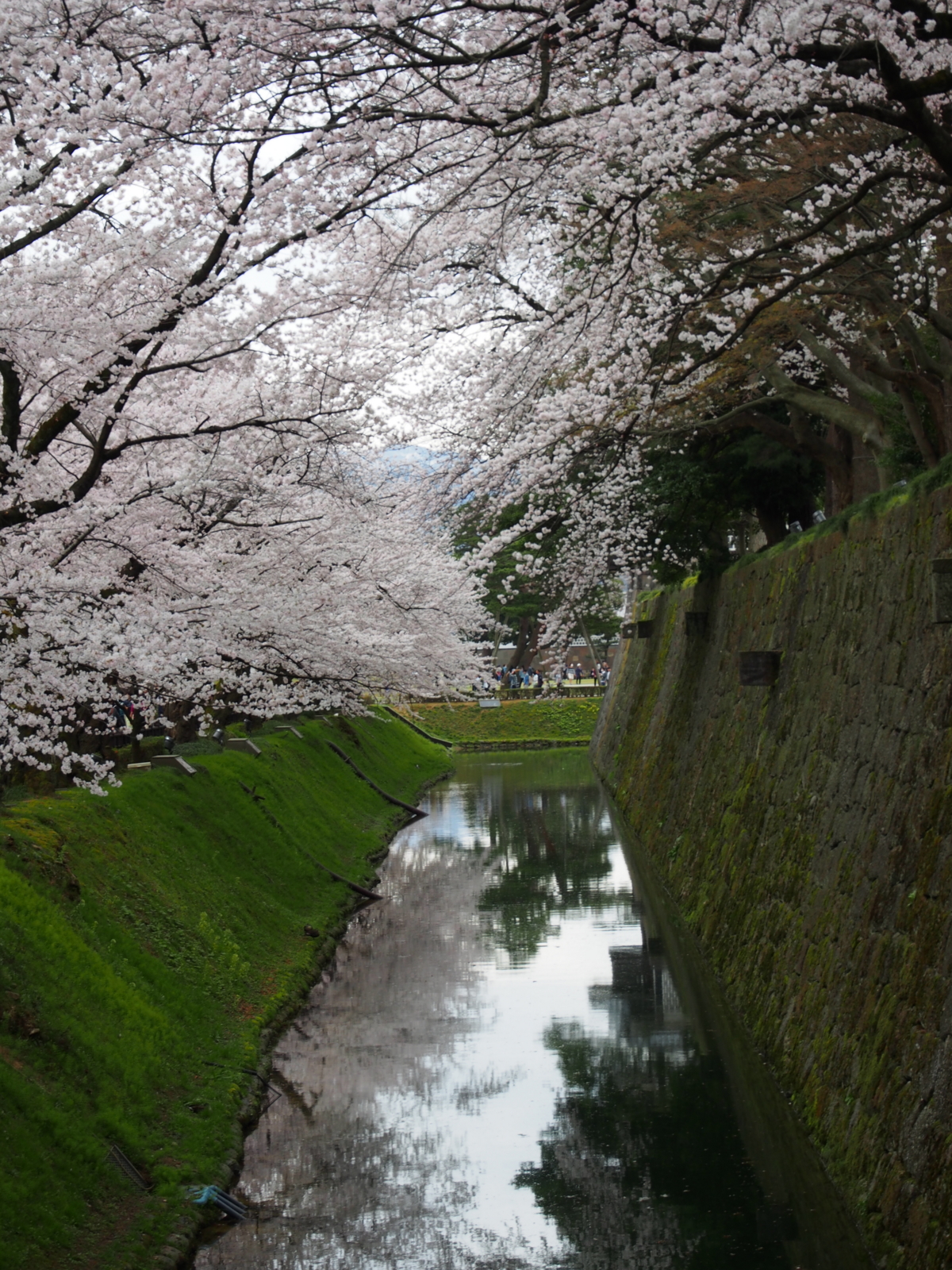 f:id:k10no3:20160403122611j:image:w640