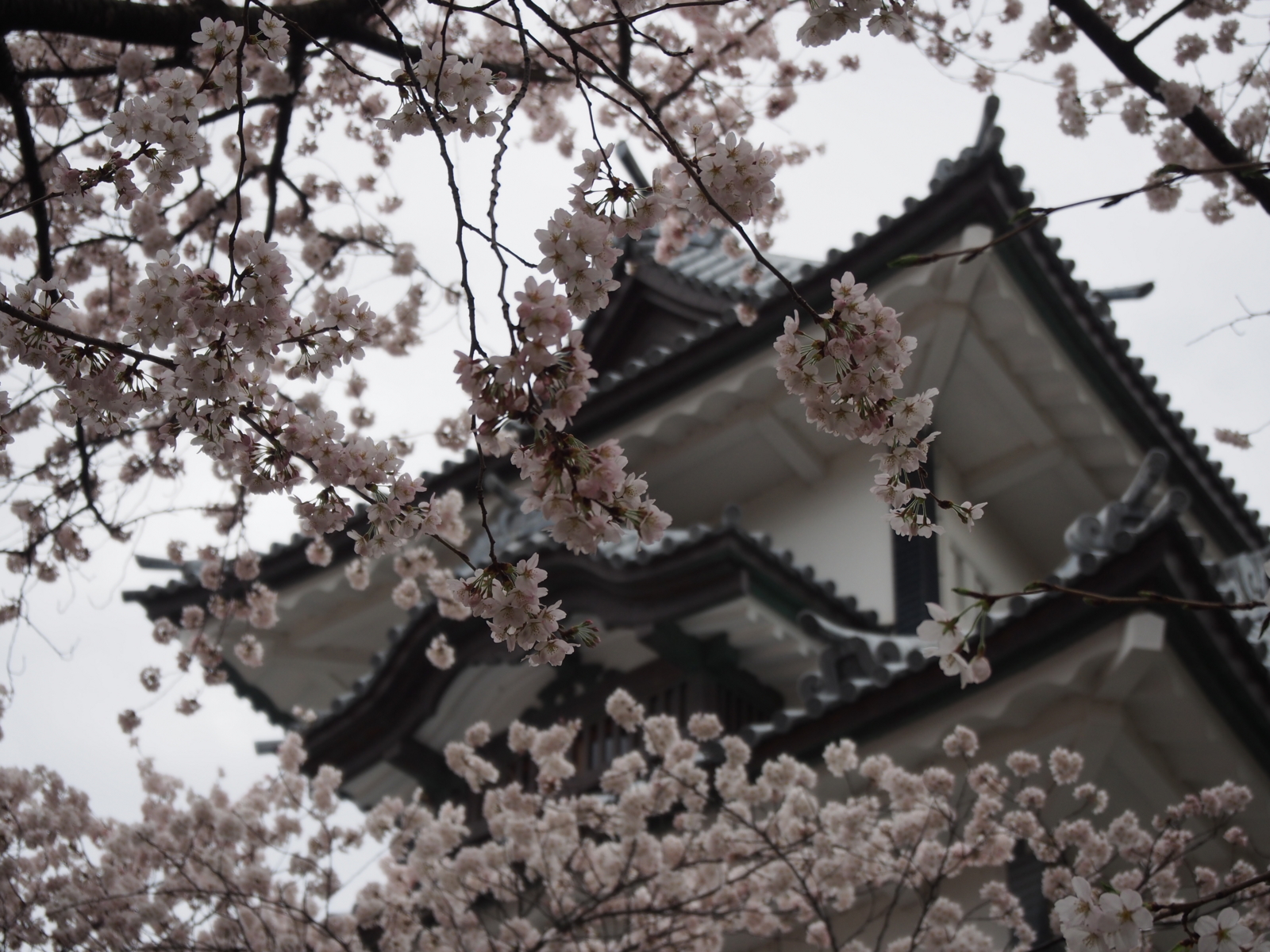f:id:k10no3:20160403123221j:image:w640