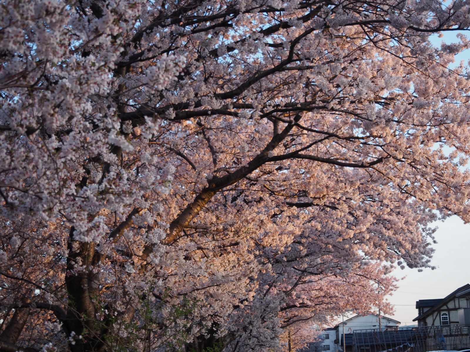 f:id:k10no3:20160405175705j:image:w640