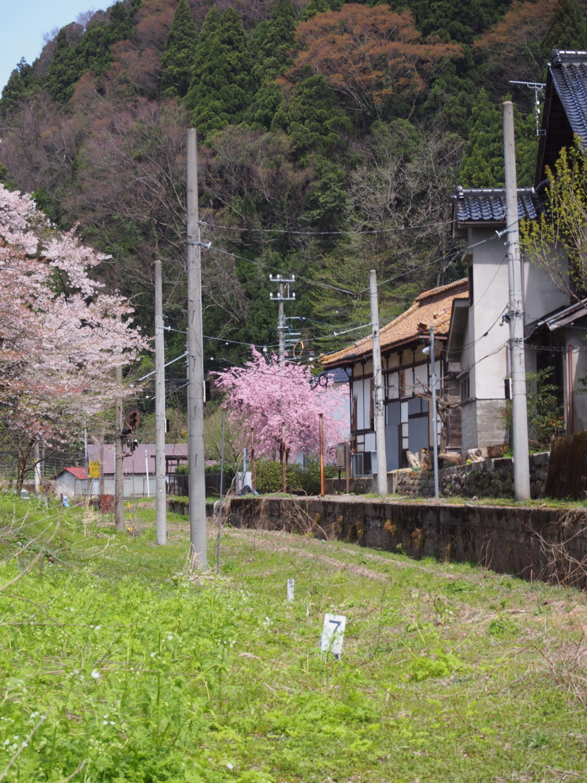 f:id:k10no3:20160409110419j:image:w318 f:id:k10no3:20160409110419j:image:w318