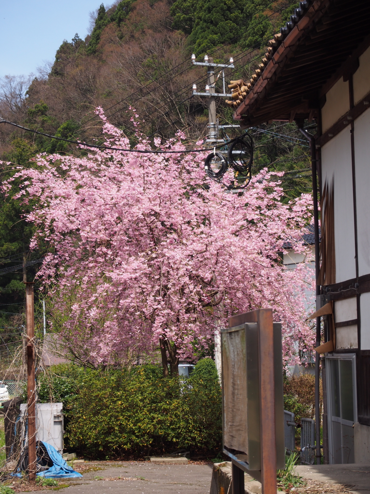 f:id:k10no3:20160409110629j:image:w318 f:id:k10no3:20160409110629j:image:w318