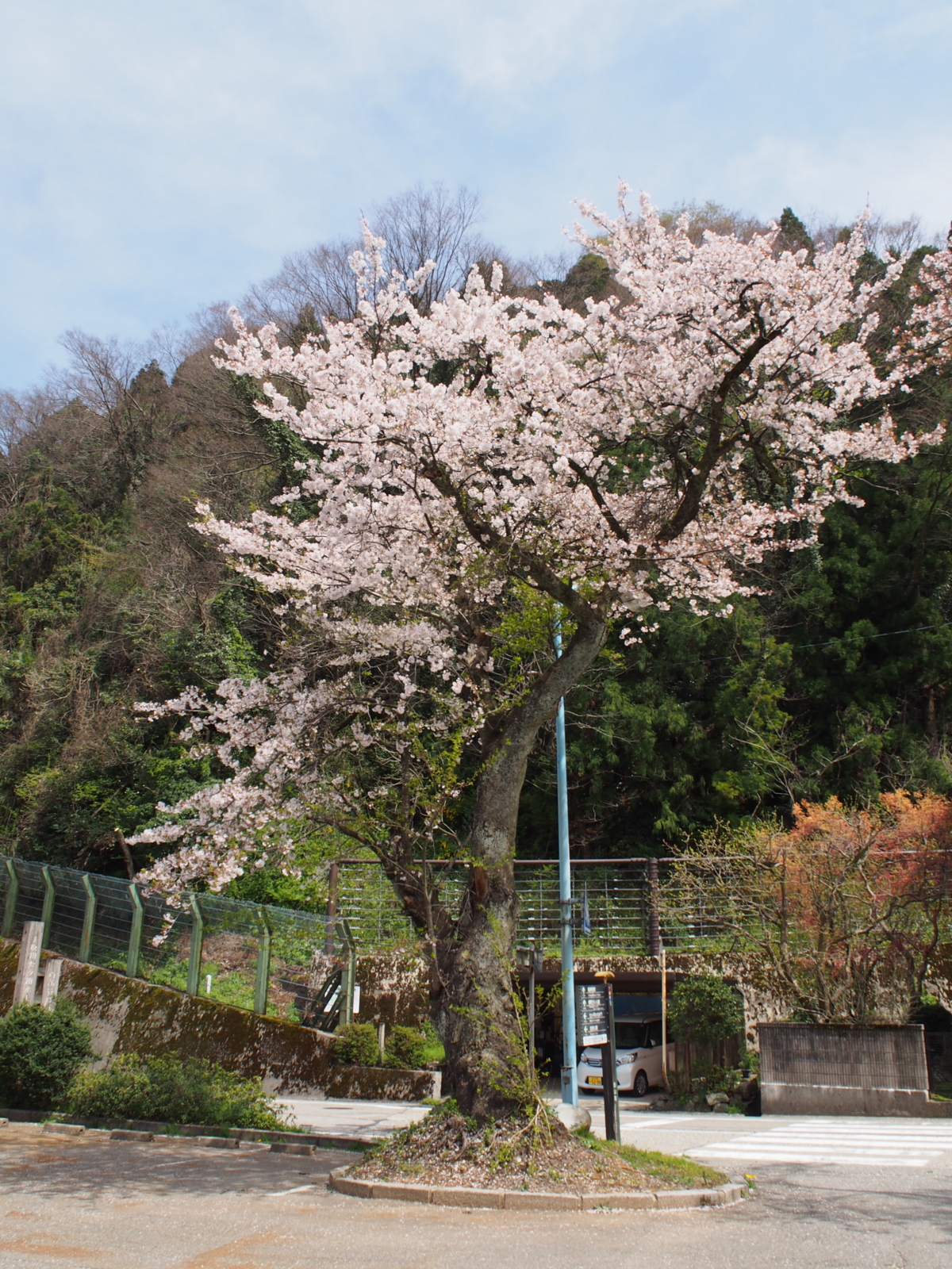 f:id:k10no3:20160409111407j:image:w318 f:id:k10no3:20160409111407j:image:w318