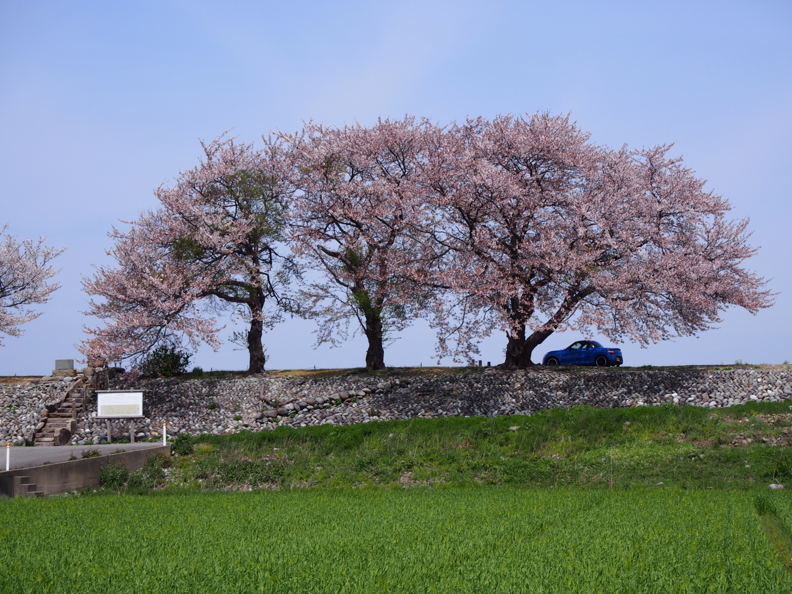f:id:k10no3:20160409113233j:image:w640