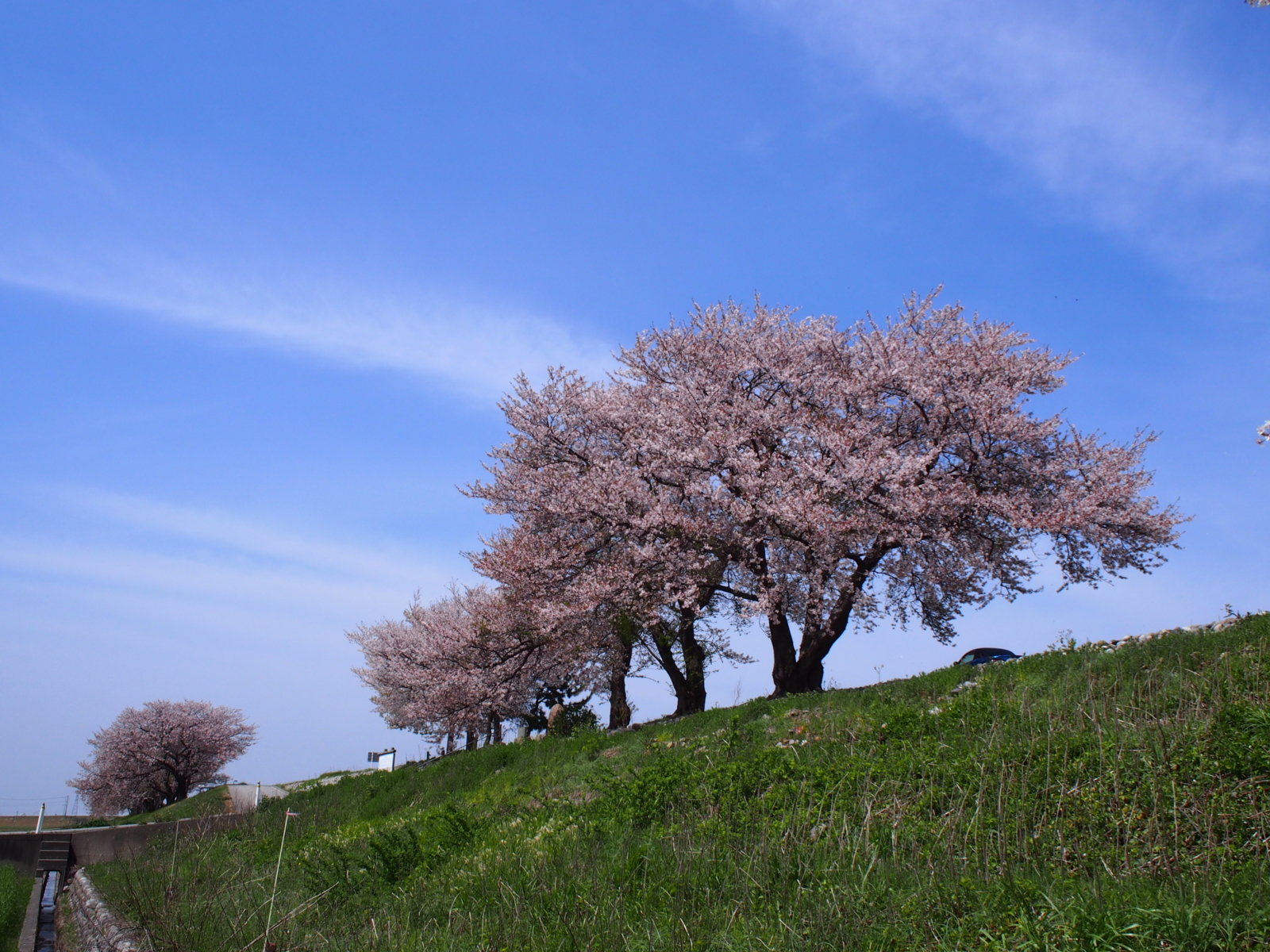 f:id:k10no3:20160409113520j:image:w640