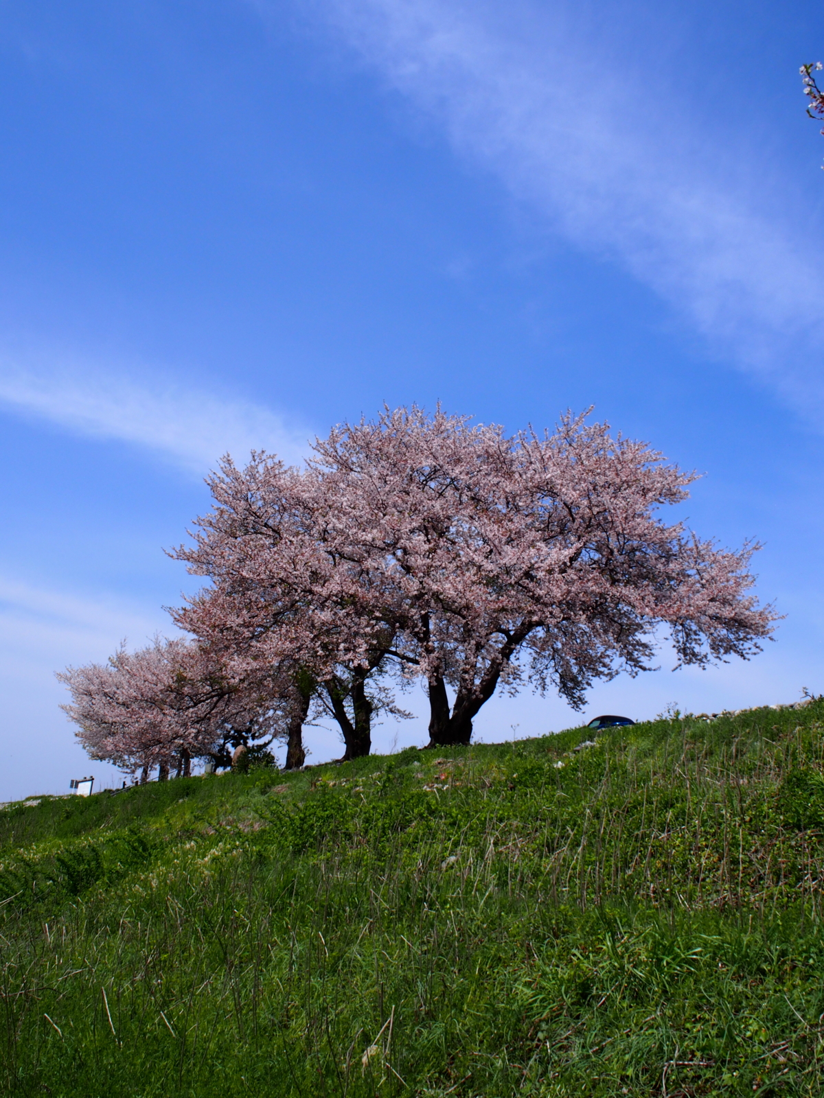 f:id:k10no3:20160409113524j:image:w318