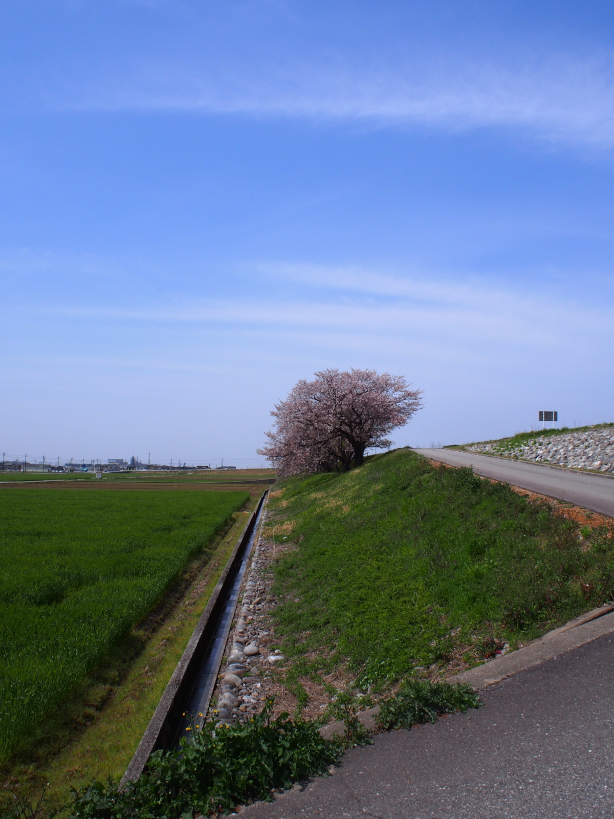f:id:k10no3:20160409113621j:image:w640