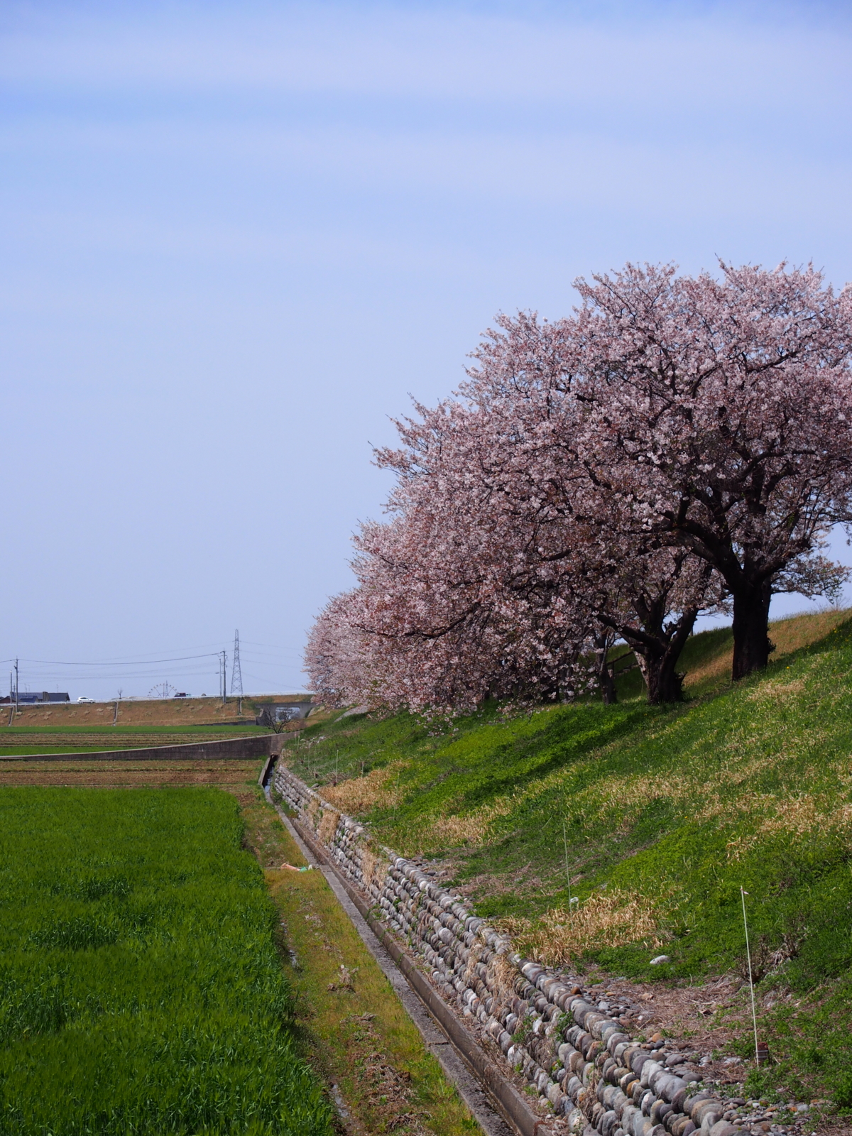 f:id:k10no3:20160409113630j:image:w318