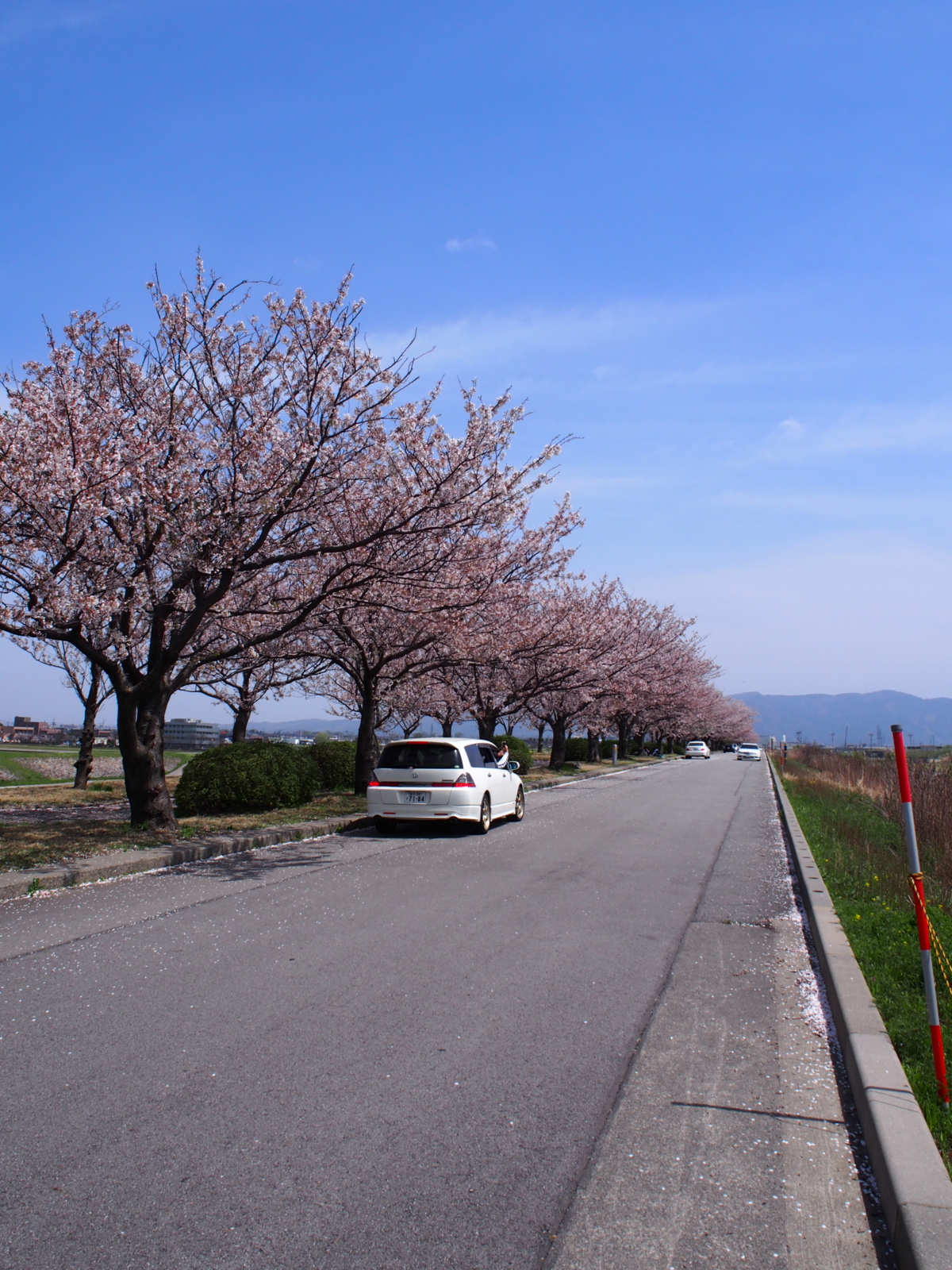 f:id:k10no3:20160409114823j:image:w318