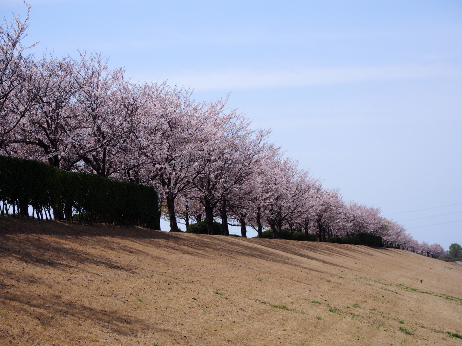 f:id:k10no3:20160409115102j:image:w640