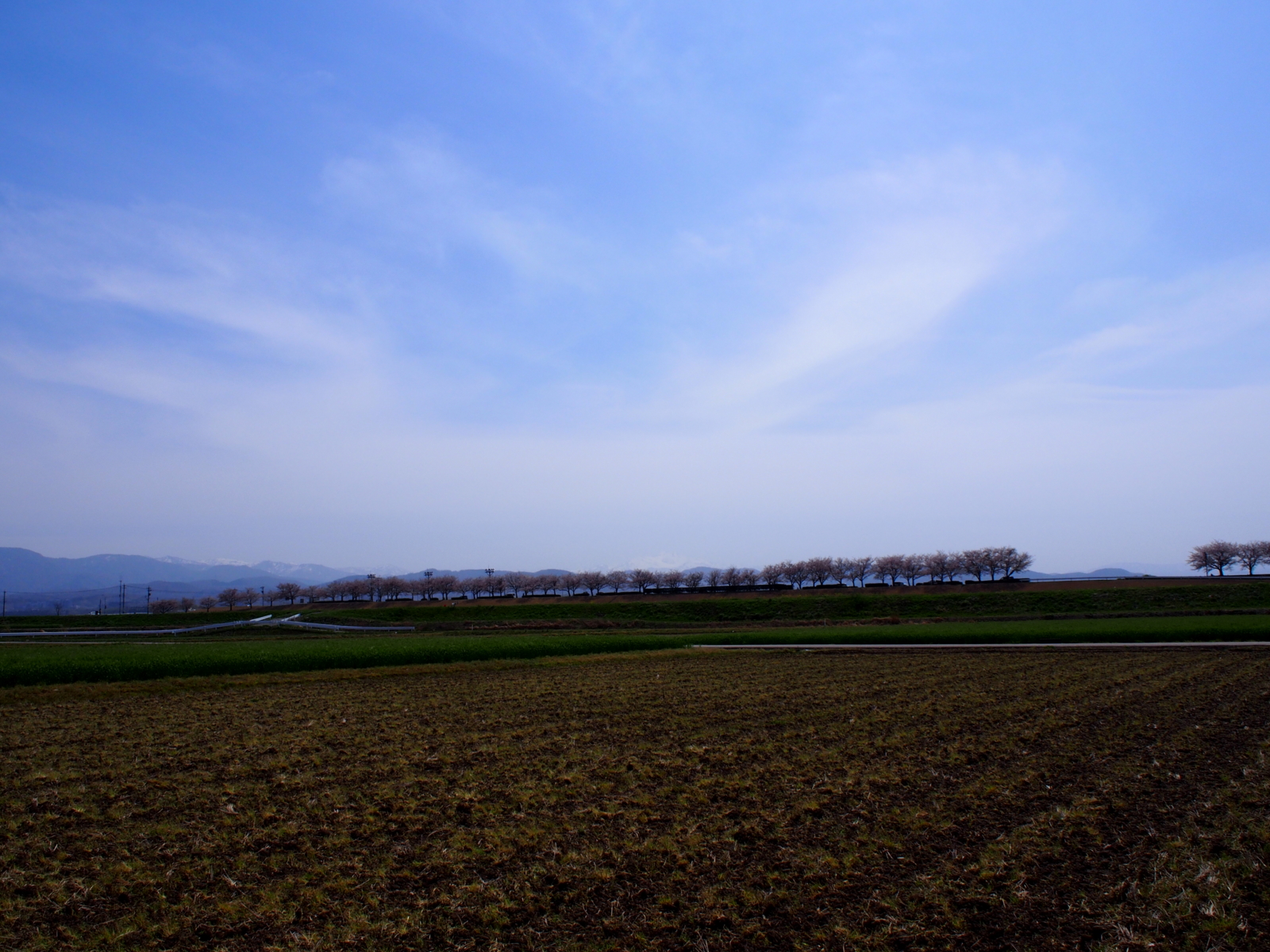 f:id:k10no3:20160409115513j:image:w640