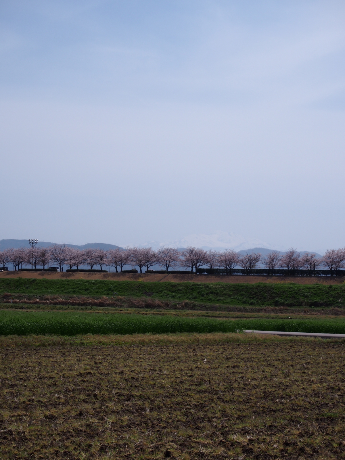 f:id:k10no3:20160409115534j:image:w318