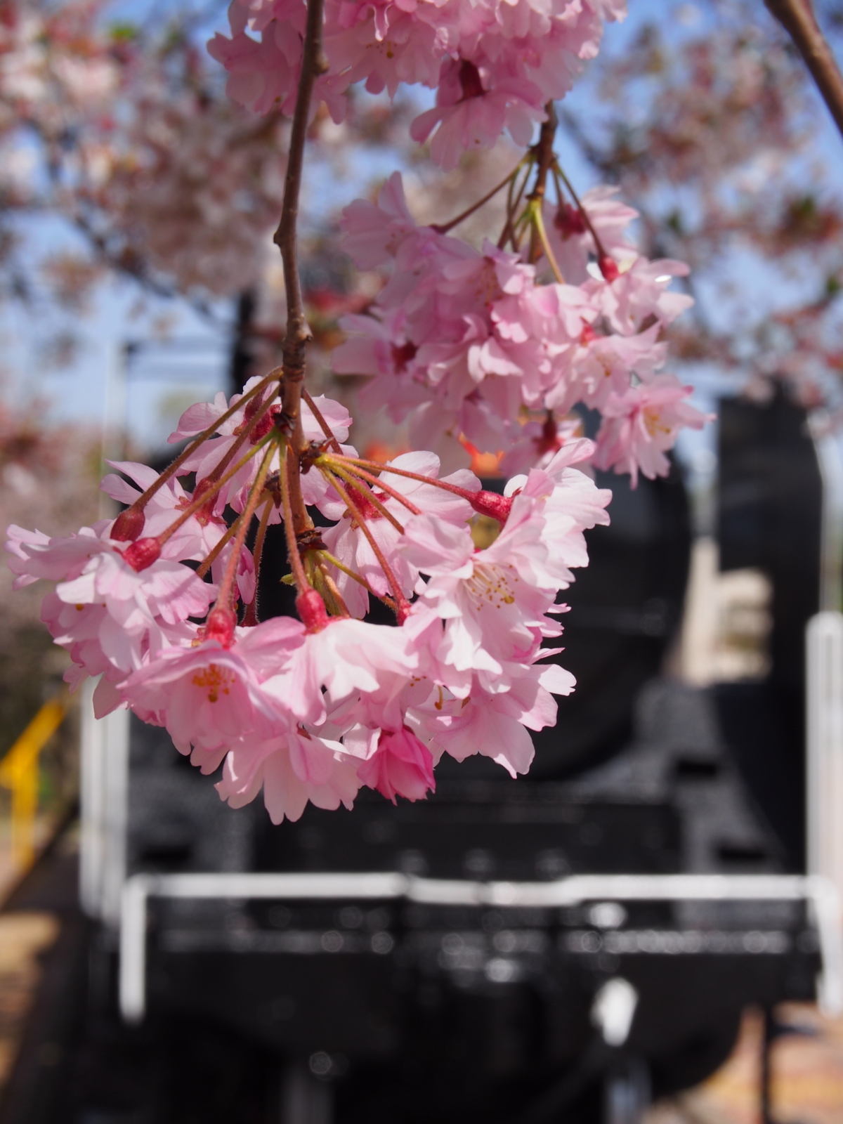 f:id:k10no3:20160409133144j:image:w318