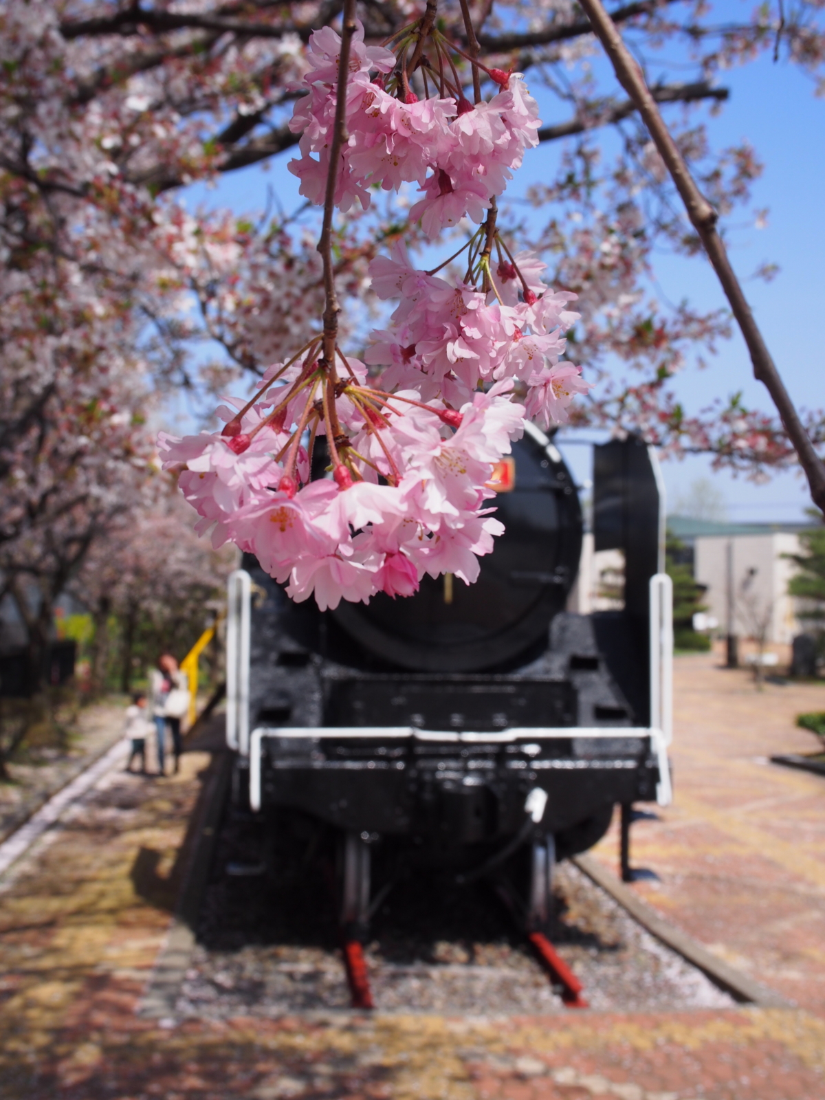 f:id:k10no3:20160409133156j:image:w318