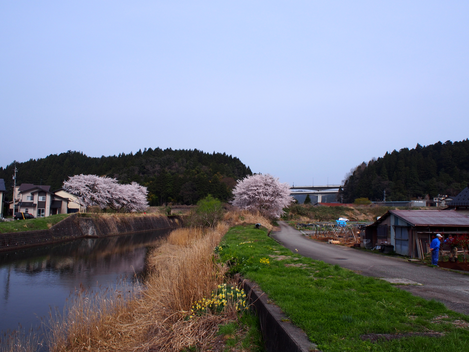 f:id:k10no3:20160410093058j:image:w640