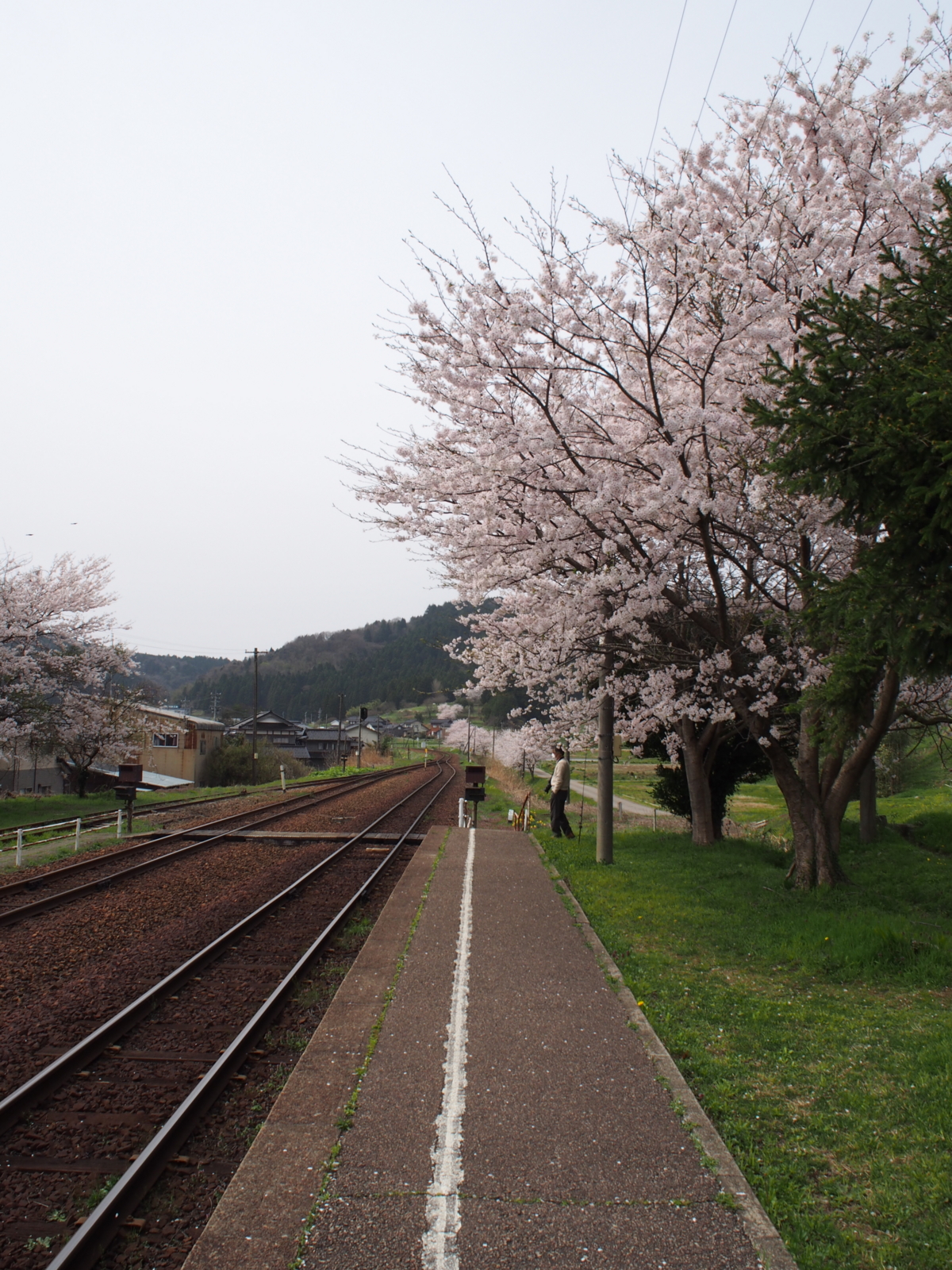 f:id:k10no3:20160410104328j:image:w318
