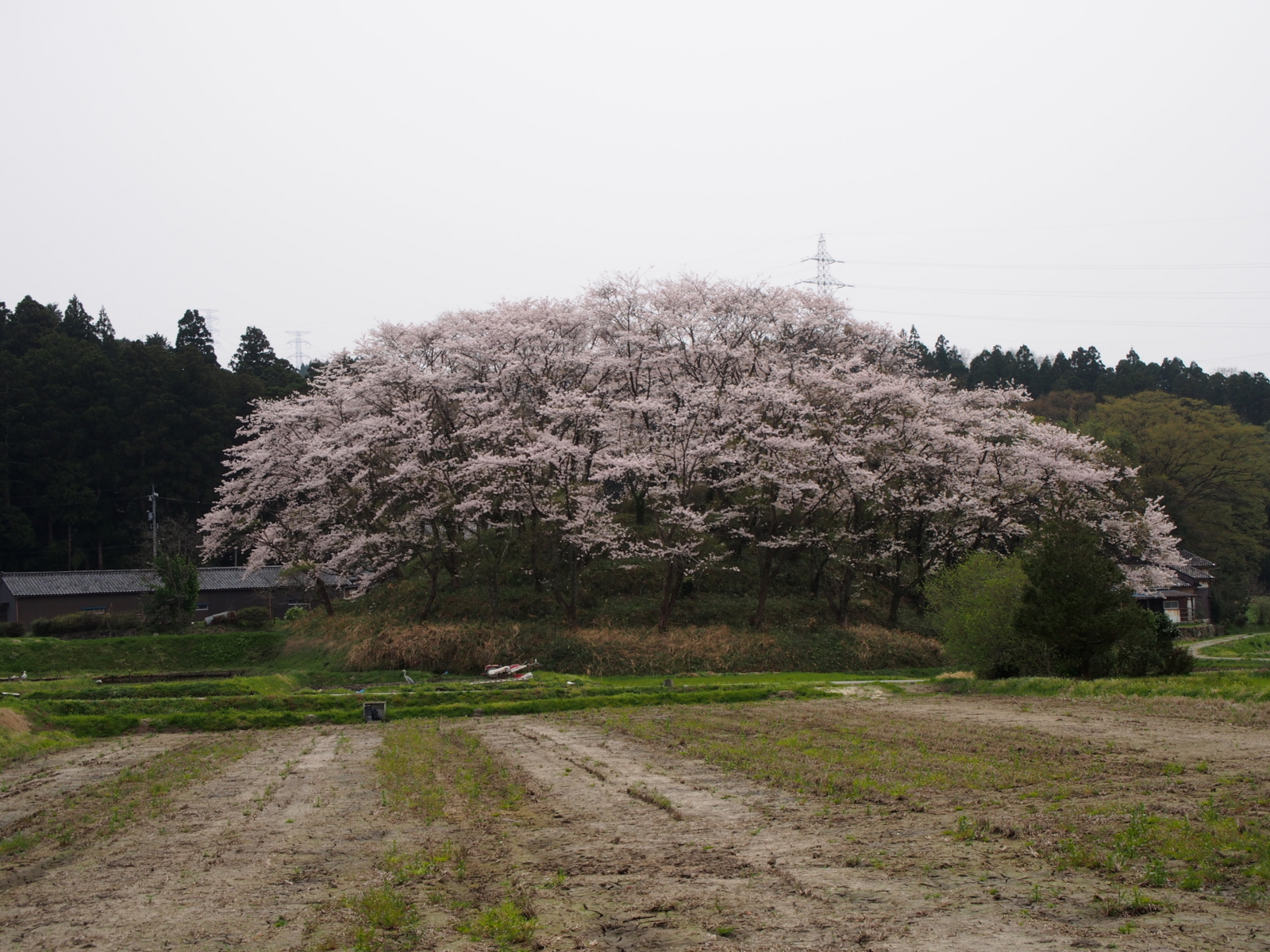 f:id:k10no3:20160410130323j:image:w640