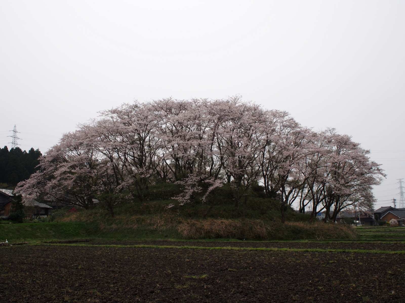 f:id:k10no3:20160410130546j:image:w640