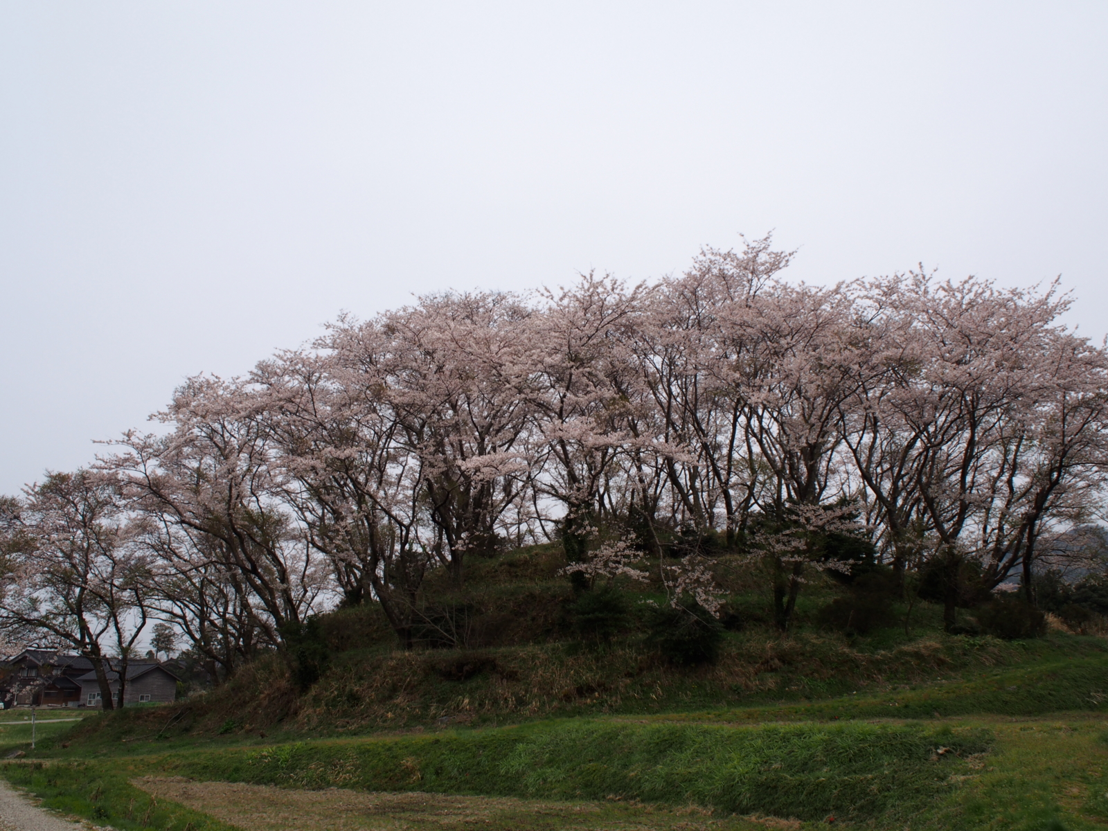 f:id:k10no3:20160410130819j:image:w640