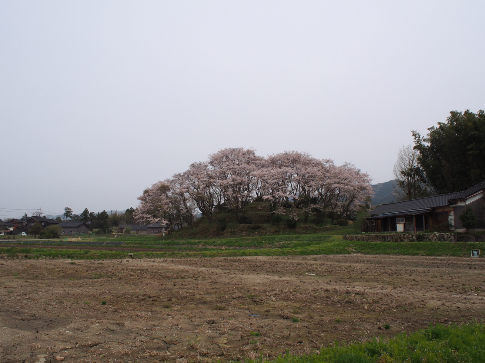 f:id:k10no3:20160410130932j:image:w640
