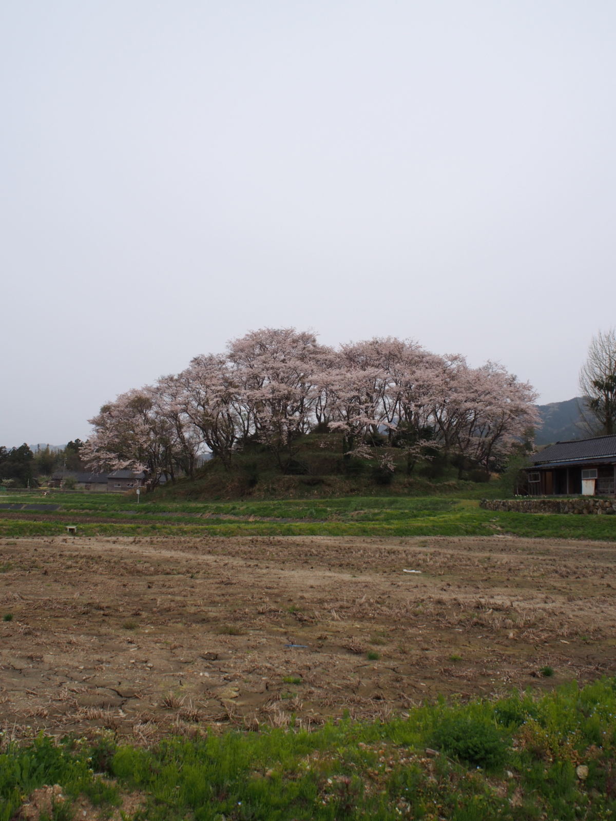 f:id:k10no3:20160410130942j:image:w640