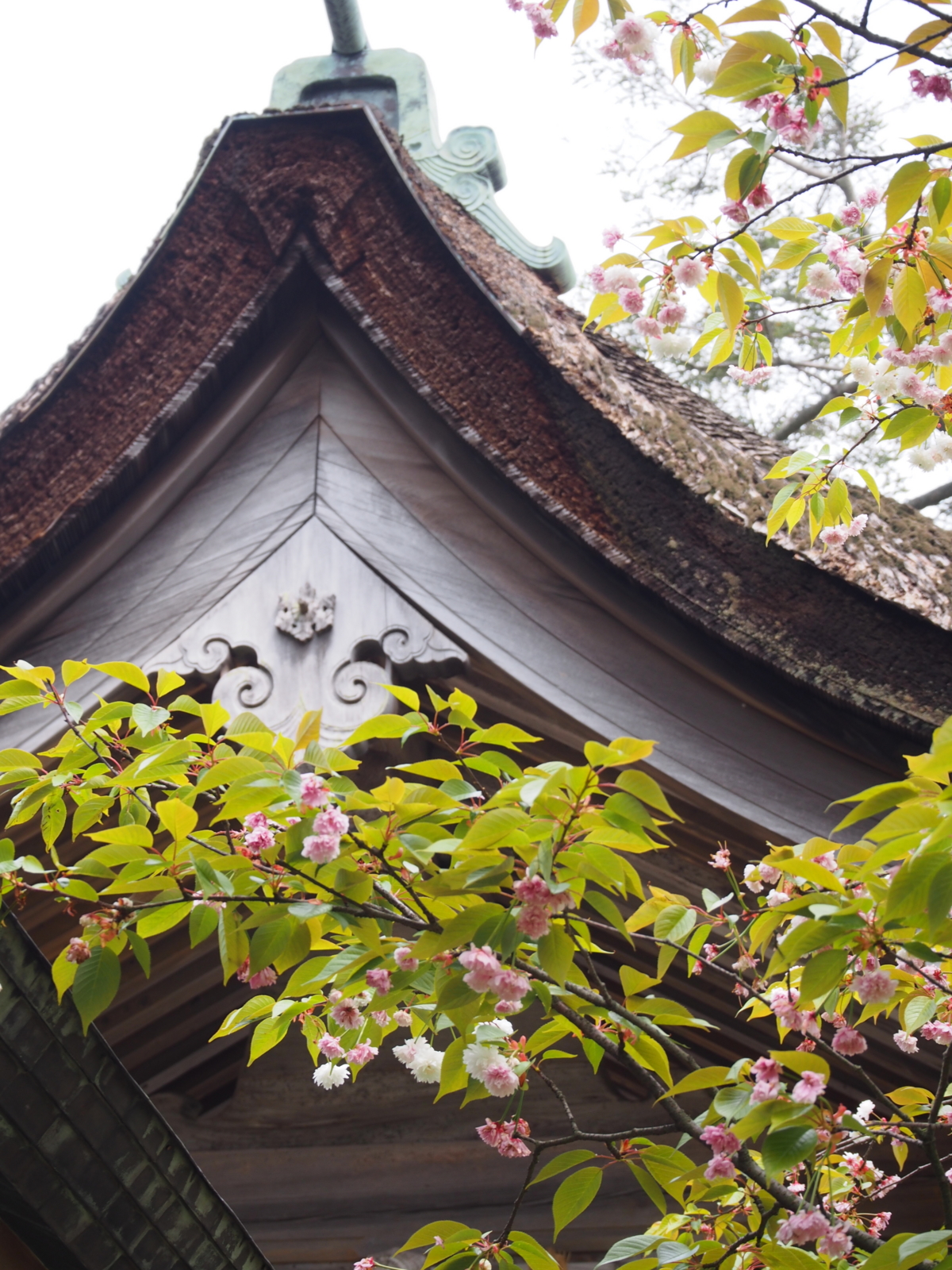 f:id:k10no3:20160423132409j:image:w318