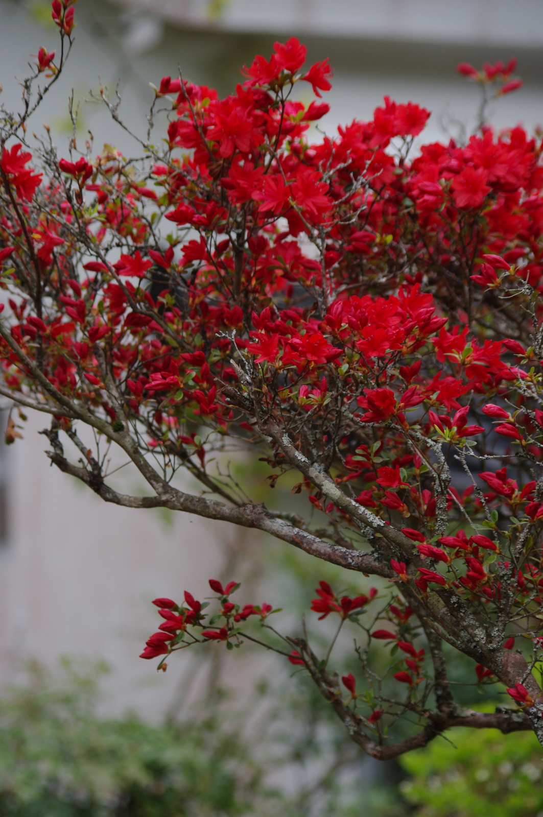 f:id:k10no3:20160430124005j:image:w318