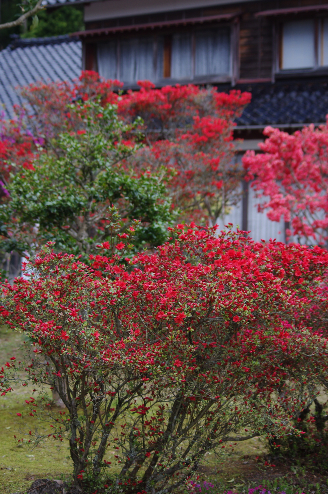 f:id:k10no3:20160430124854j:image:w318