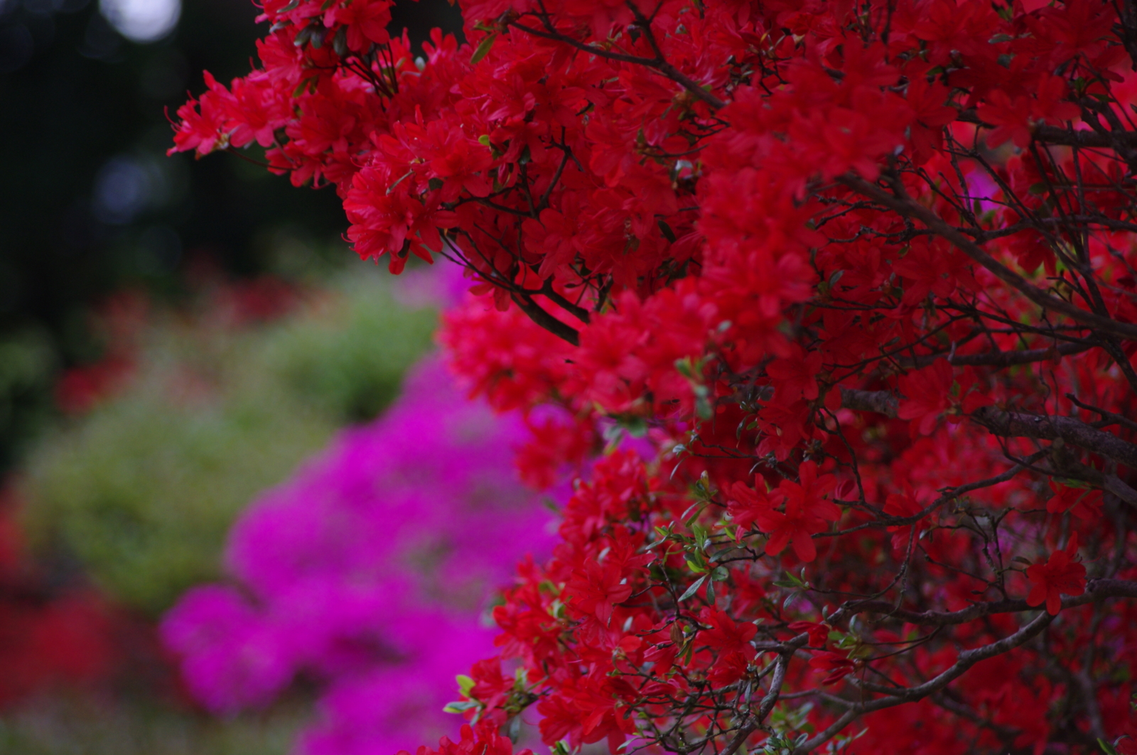 f:id:k10no3:20160430125352j:image:w640