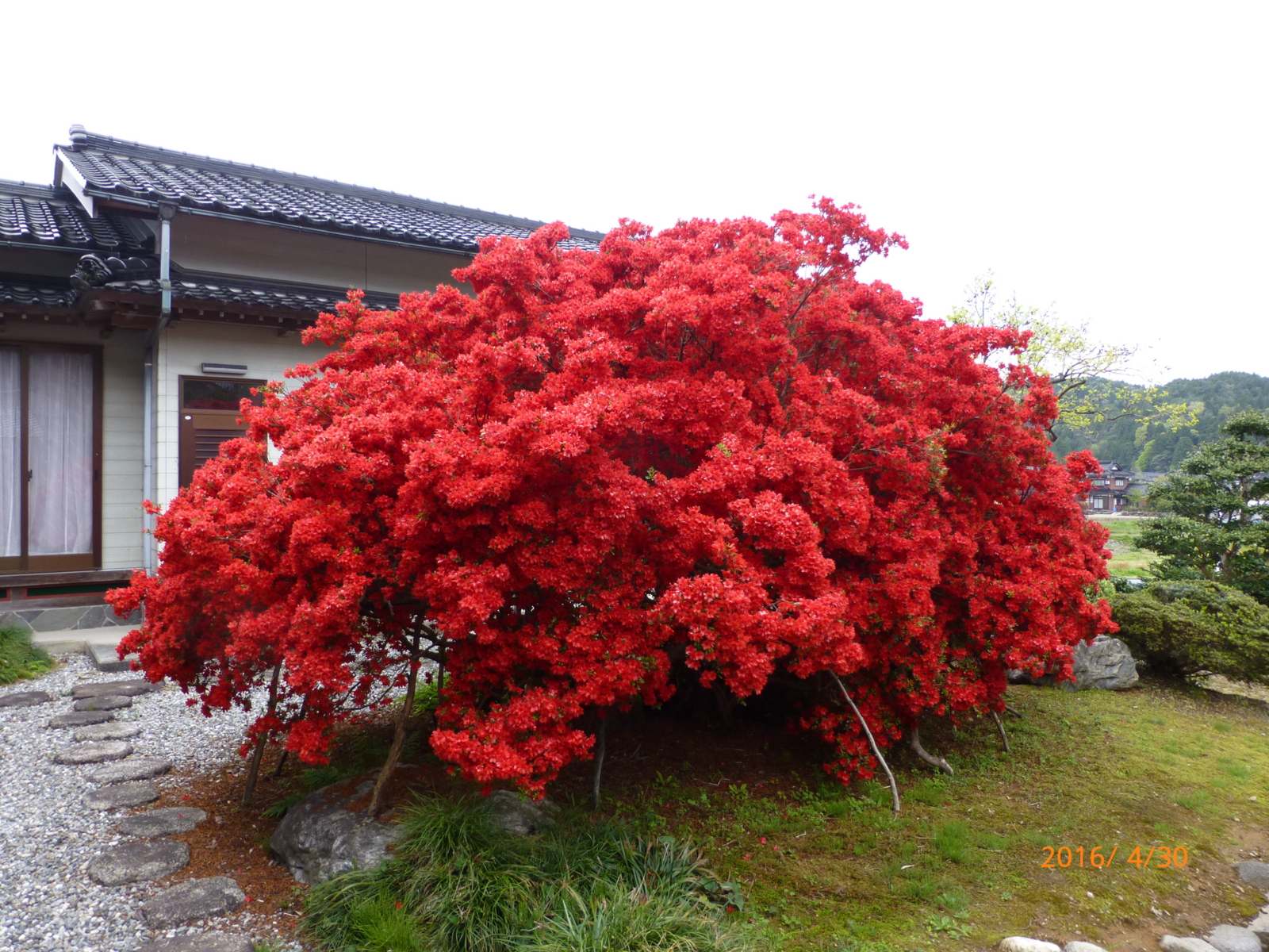 f:id:k10no3:20160430130150j:image:w318 f:id:k10no3:20160430130150j:image:w318