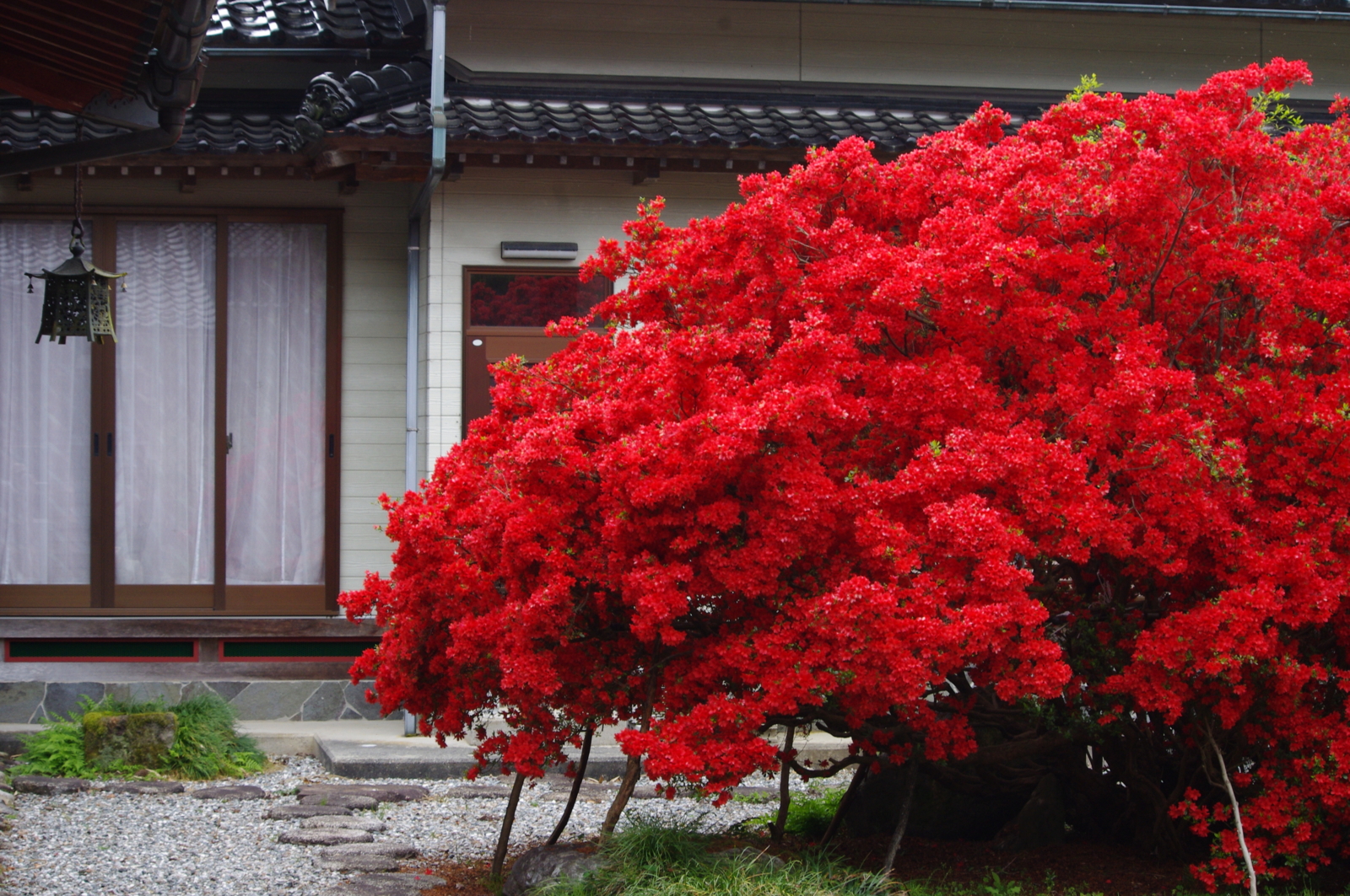 f:id:k10no3:20160430131850j:image:w640 f:id:k10no3:20160430131850j:image:w640