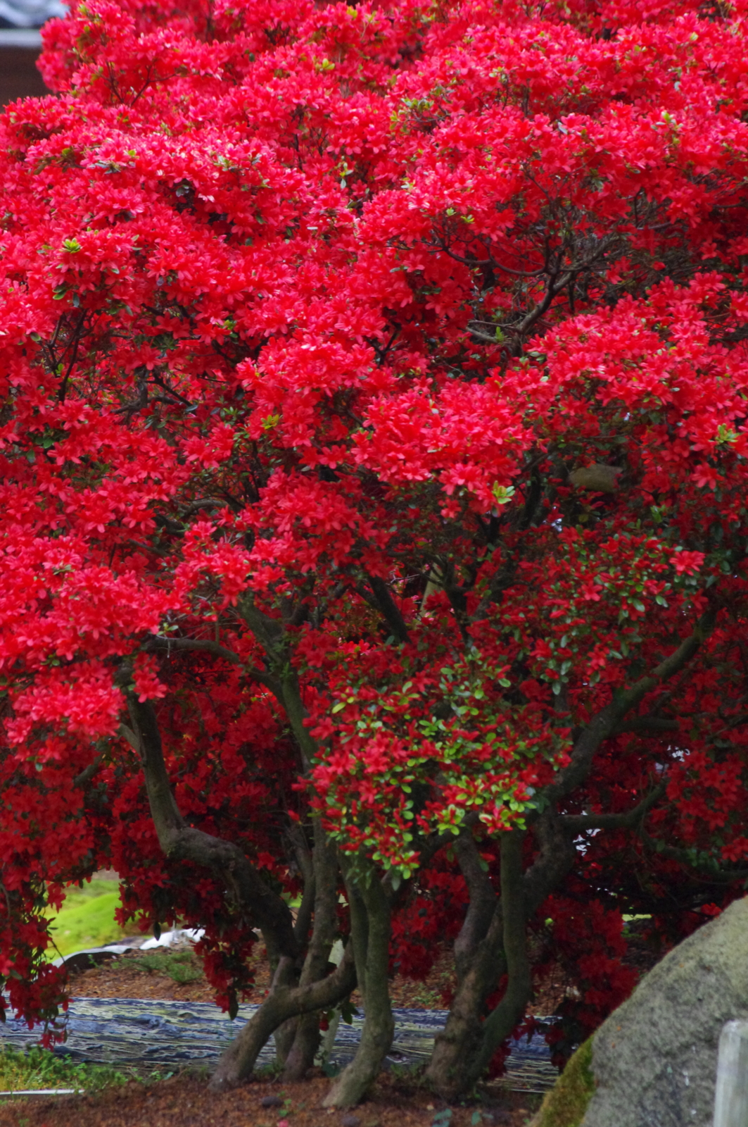 f:id:k10no3:20160430135131j:image:w640