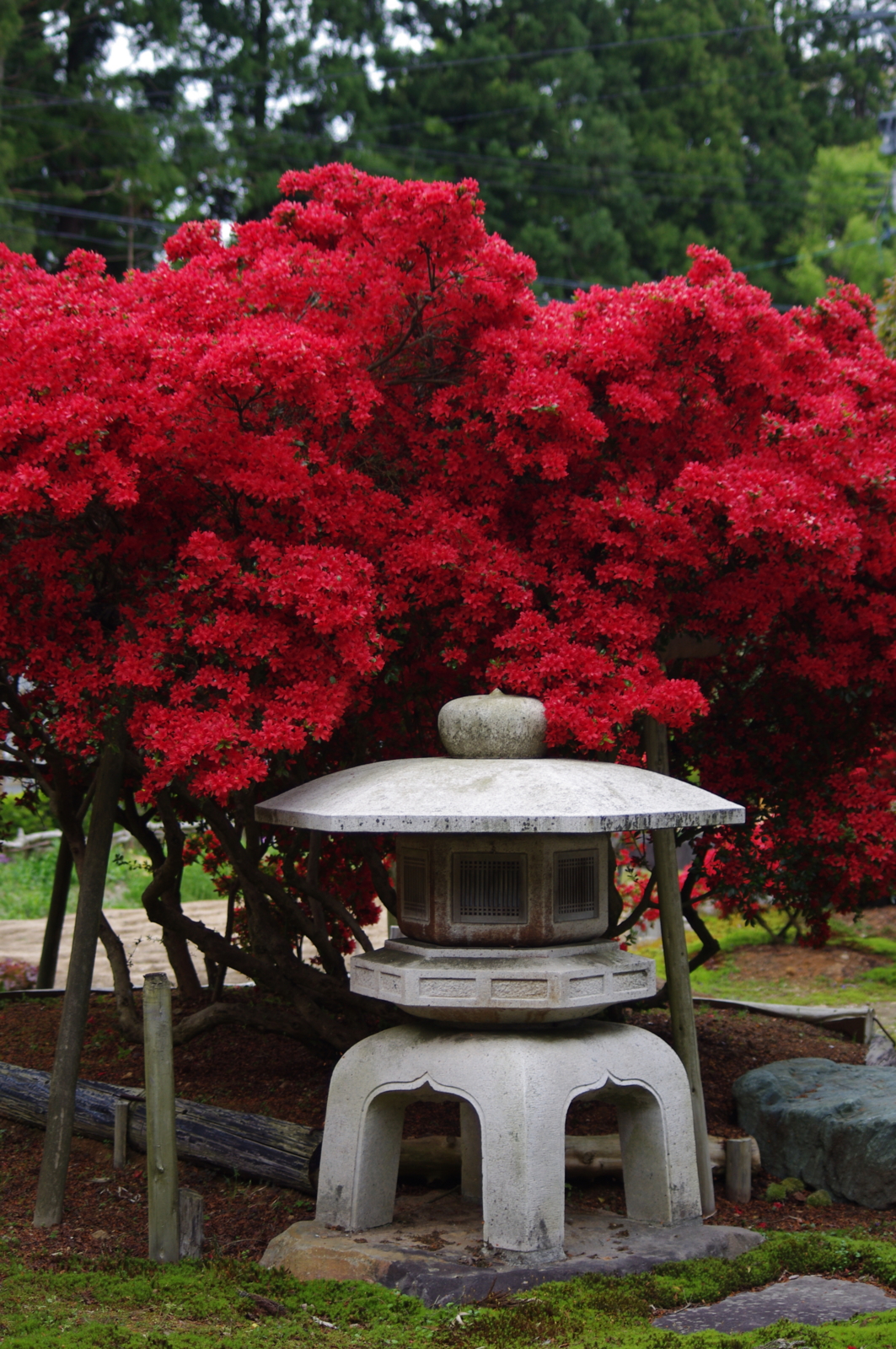 f:id:k10no3:20160430135151j:image:w318