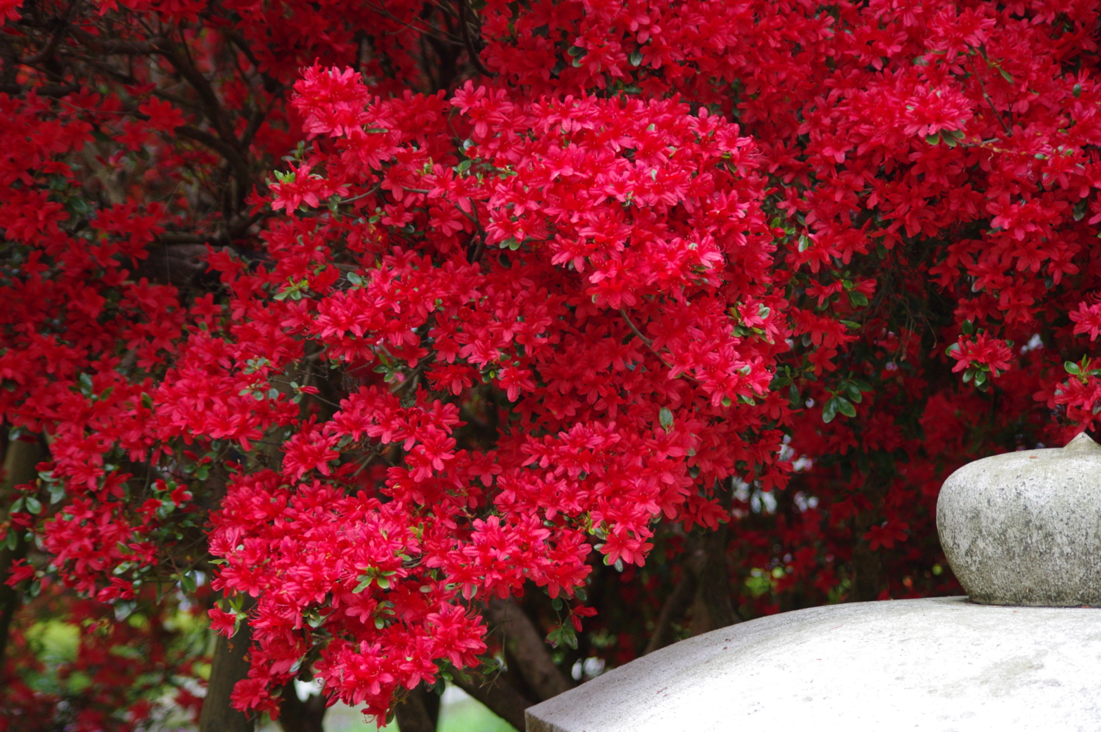 f:id:k10no3:20160430135304j:image:w640